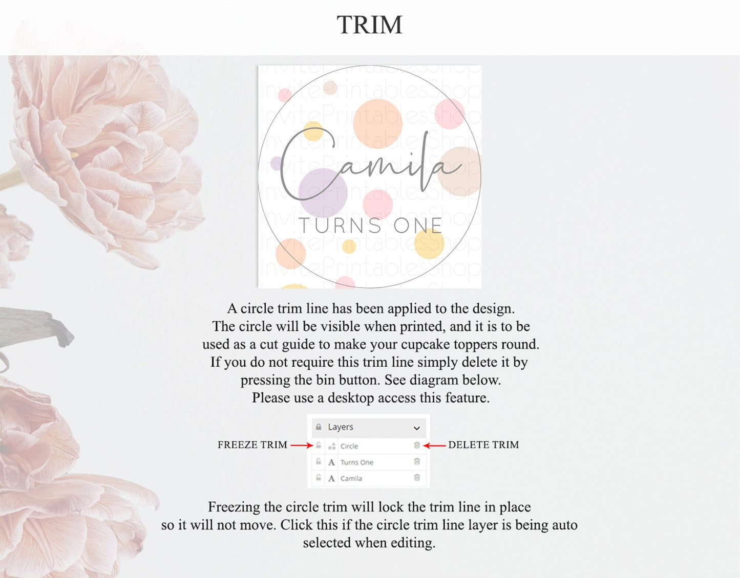 Pastel Cupcake Toppers Pastel Confetti Cupcake Topper Bubbles Sprinkles Colorful Rainbow Confetti Cupcake First Birthday Party Decor D10759