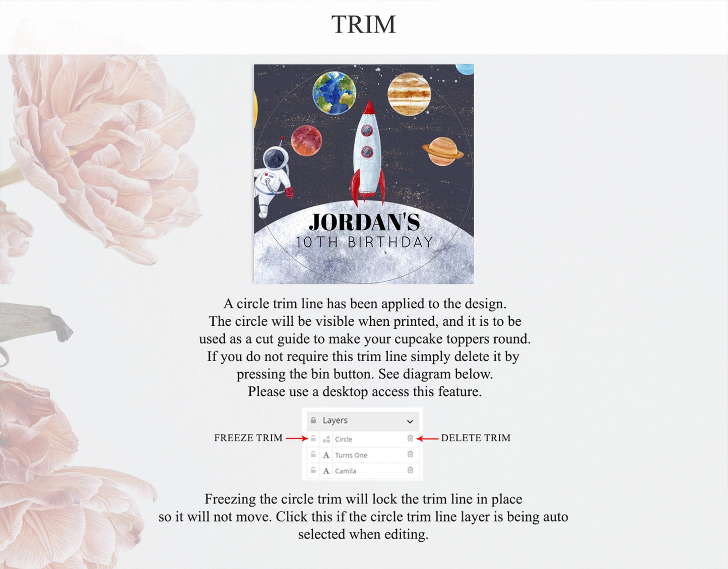 Space Cupcake Toppers Space Decor First Trip Around the Sun Decor Decor Sky Stars Planets Milkyway Solar System Cupcake Topper D10430