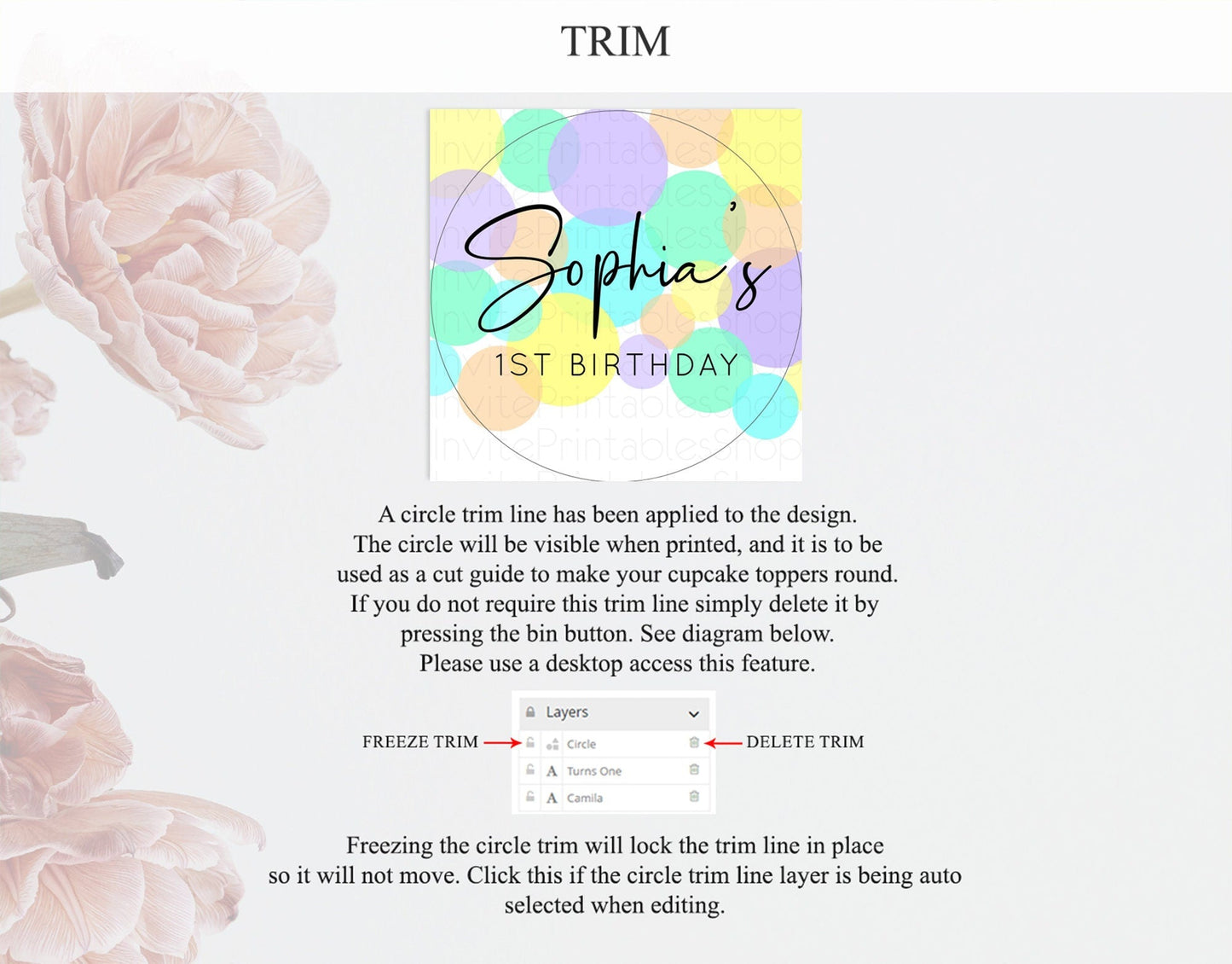 Pastel Cupcake Toppers Pastel Confetti Cupcake Topper Bubbles Sprinkles Colorful Rainbow Confetti Cupcake First Birthday Party Decor D10412