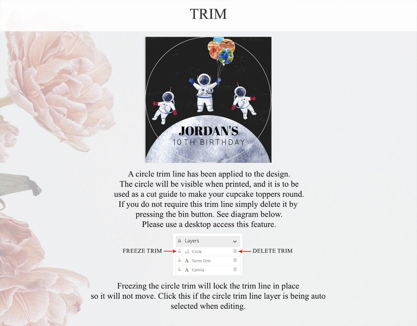 Space Cupcake Toppers Space Decor First Trip Around the Sun Decor Decor Sky Stars Planets Milkyway Solar System Cupcake Topper D10430