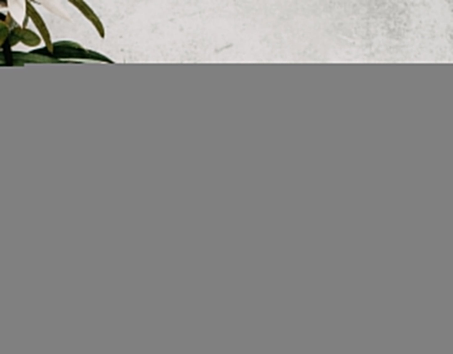 Gorilla Water Label Template Gorilla Party Decor Water Label Safari Adventure Gorilla Minimal Theme 1st Birthday Baptism Baby Shower D10854