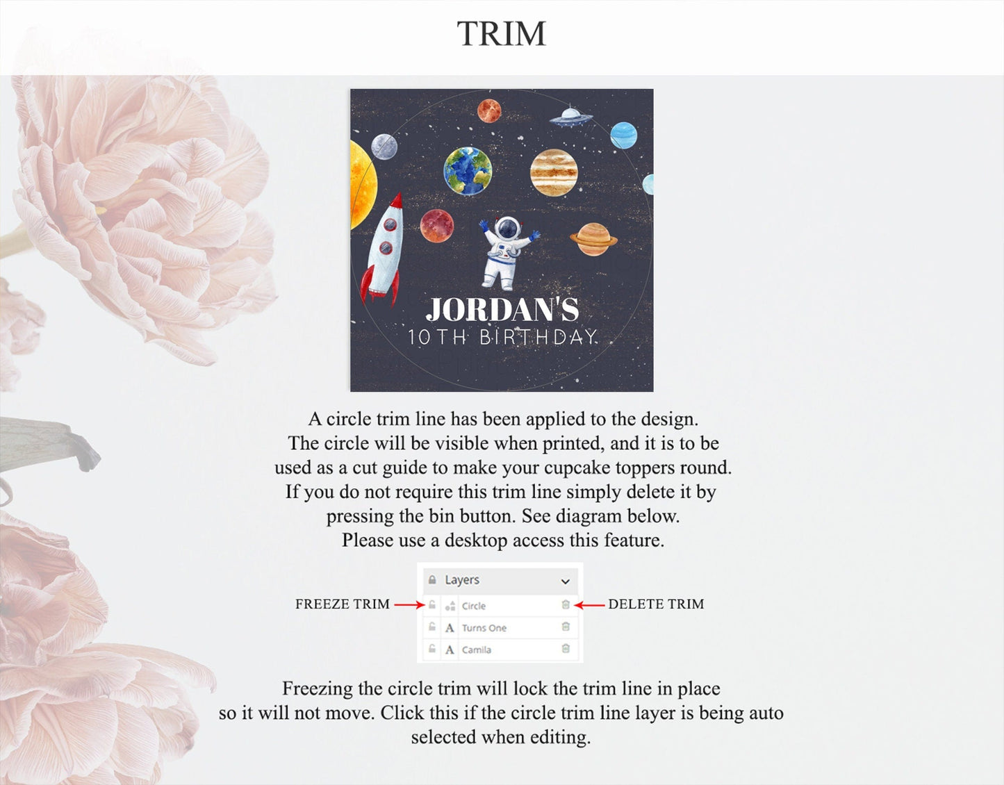 Space Cupcake Toppers Space Decor First Trip Around the Sun Decor Decor Sky Stars Planets Milkyway Solar System Cupcake Topper D10144