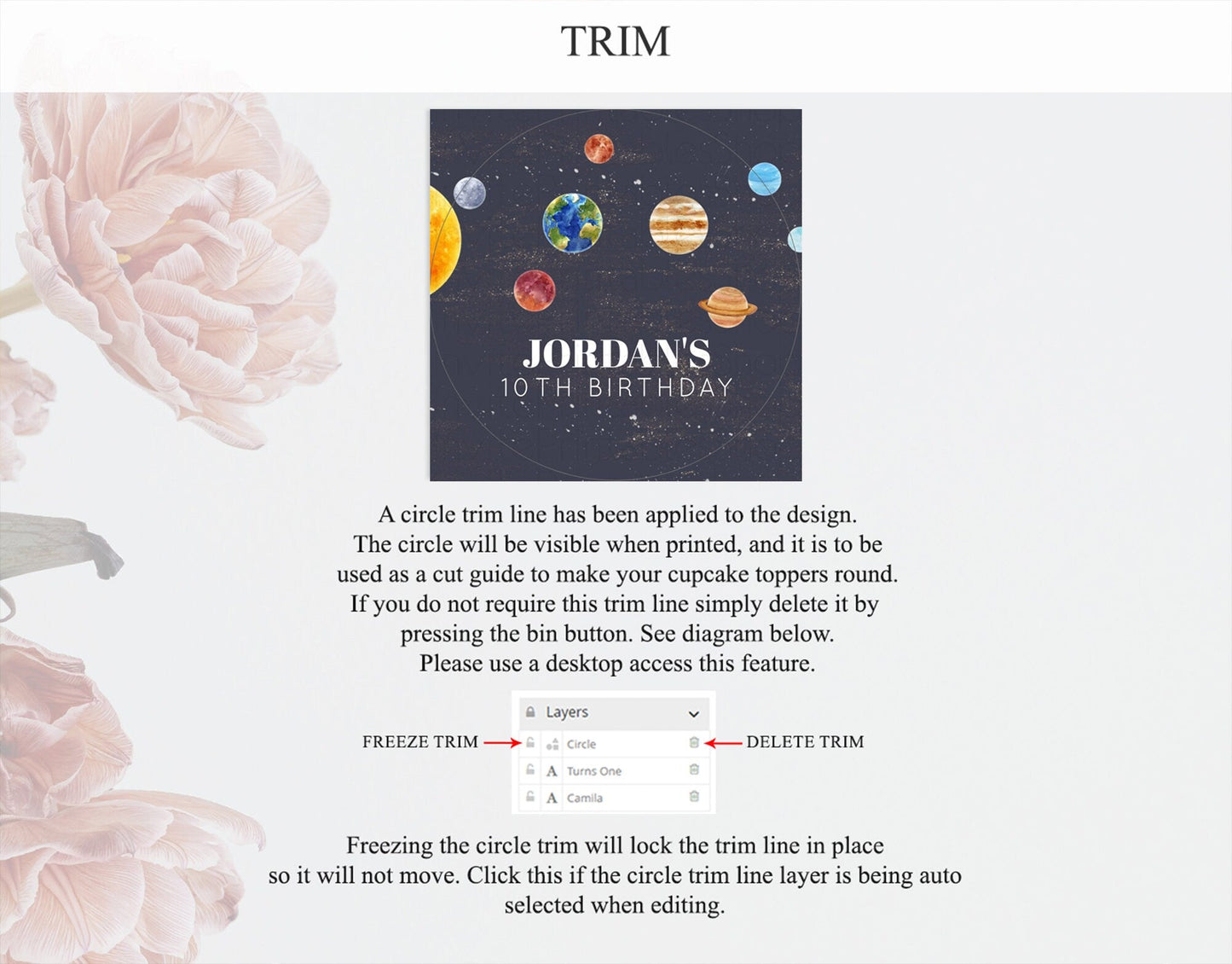 Space Cupcake Toppers Space Decor First Trip Around the Sun Decor Decor Sky Stars Planets Milkyway Solar System Cupcake Topper D10144