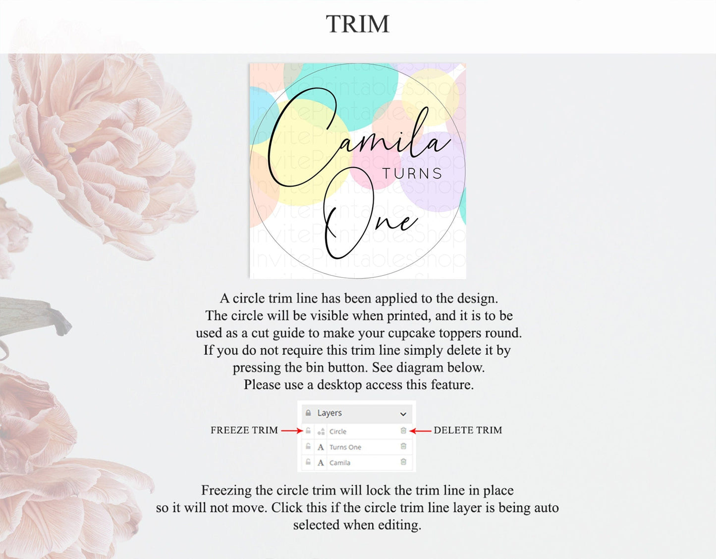 Pastel Cupcake Toppers Pastel Confetti Cupcake Topper Bubbles Sprinkles Colorful Rainbow Confetti Cupcake First Birthday Party Decor D10784