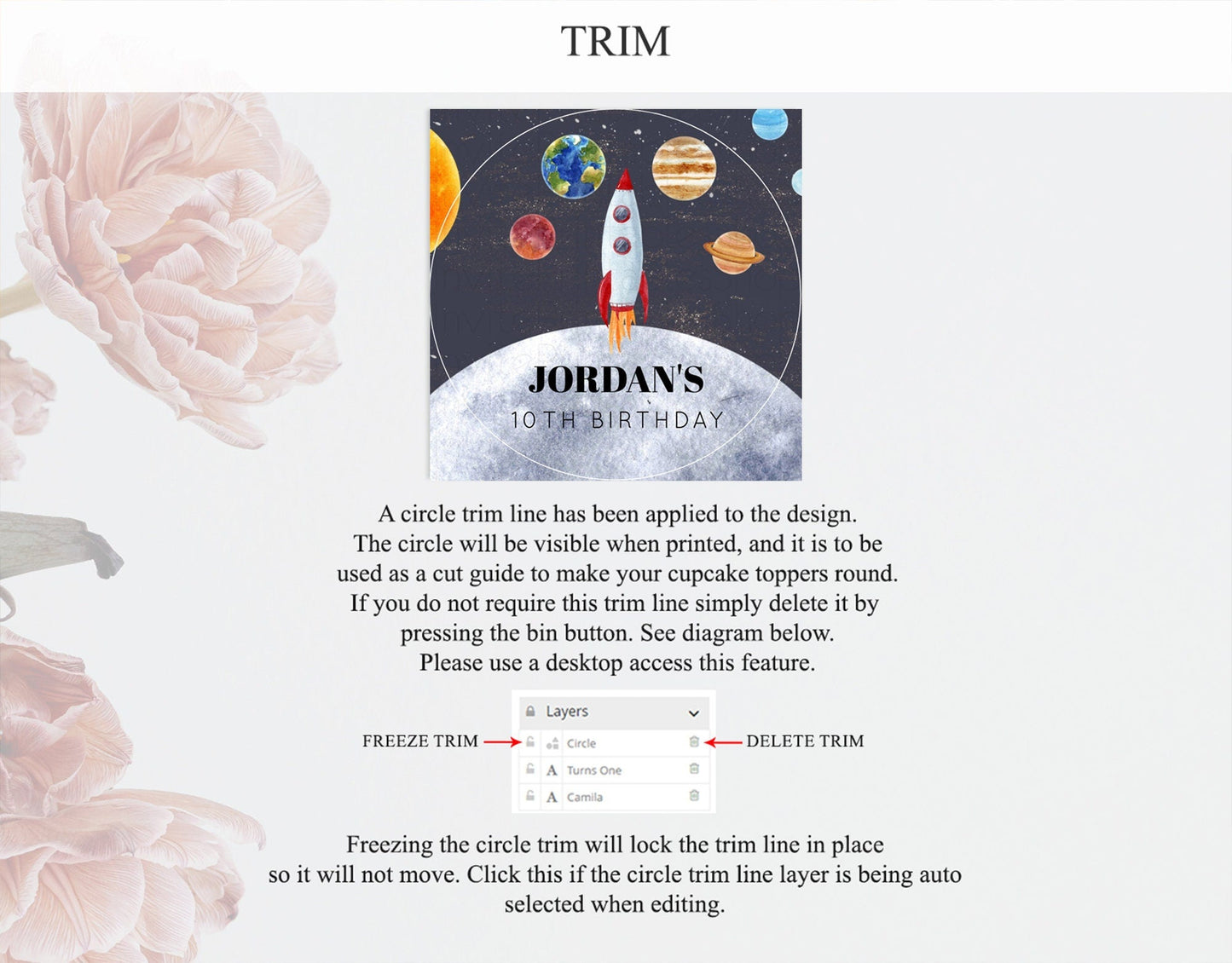 Space Cupcake Toppers Space Decor First Trip Around the Sun Decor Decor Sky Stars Planets Milkyway Solar System Cupcake Topper D10430