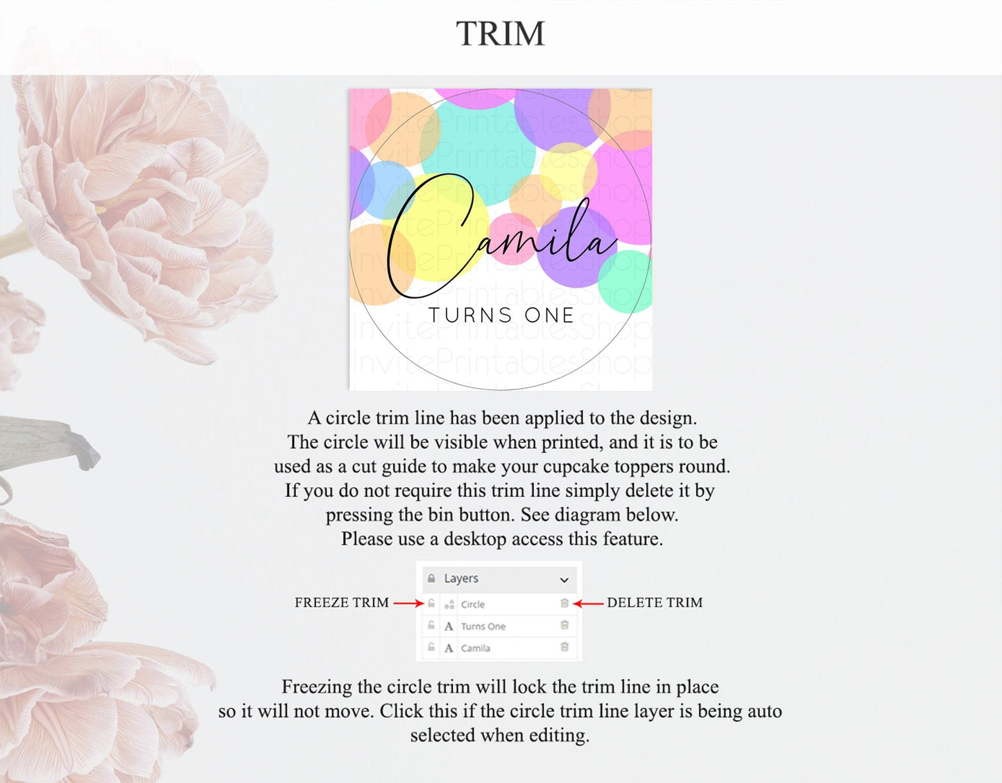 Pastel Cupcake Toppers Pastel Confetti Cupcake Topper Bubbles Sprinkles Colorful Rainbow Confetti Cupcake First Birthday Party Decor D10888