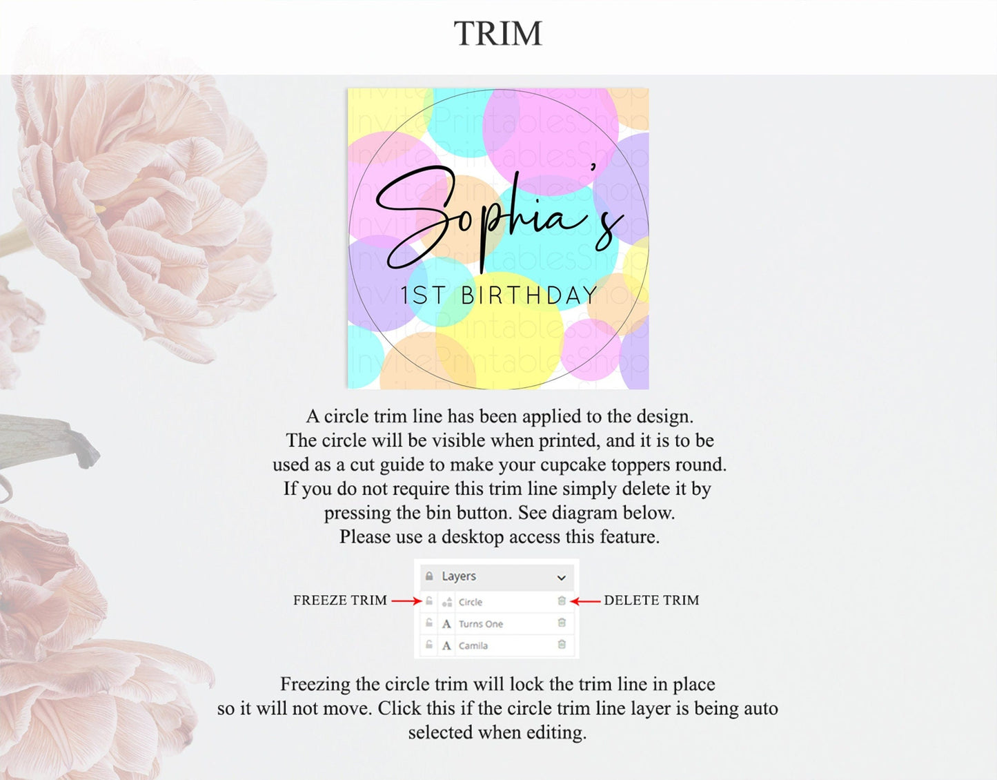 Pastel Cupcake Toppers Pastel Confetti Cupcake Topper Bubbles Sprinkles Colorful Rainbow Confetti Cupcake First Birthday Party Decor D10406