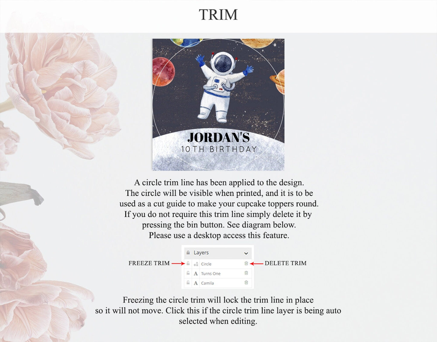 Space Cupcake Toppers Space Decor First Trip Around the Sun Decor Decor Sky Stars Planets Milkyway Solar System Cupcake Topper D10430