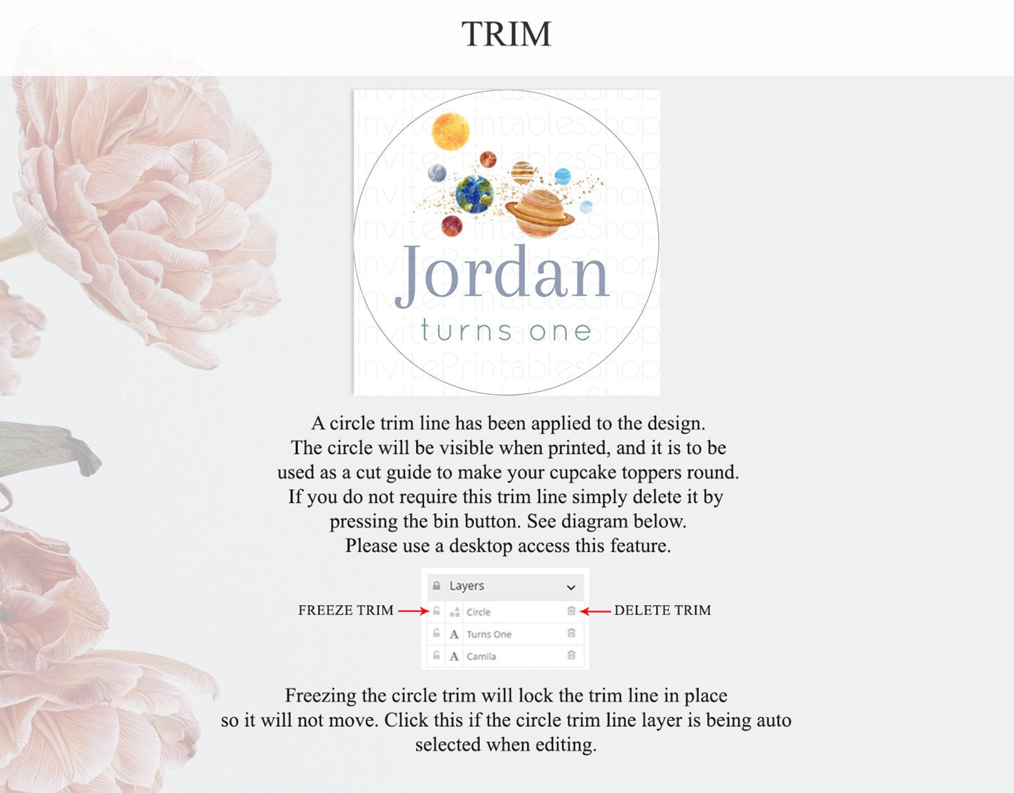 Space Cupcake Toppers Space Decor First Trip Around the Sun Decor Decor Sky Stars Planets Milkyway Solar System Cupcake Topper D10598