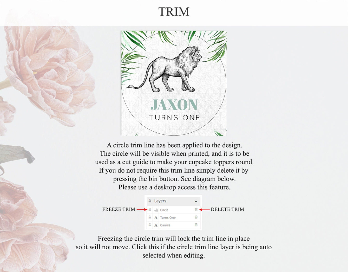 Lion Cupcake Toppers Safari Lion Cupcake Toppers Modern Lion Party Decor Safari Adventure Party Minimalist Lion First Birthday Decor D10845