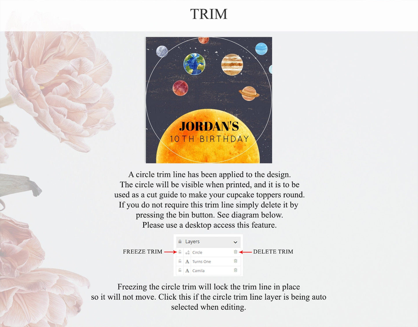 Space Cupcake Toppers Space Decor First Trip Around the Sun Decor Decor Sky Stars Planets Milkyway Solar System Cupcake Topper D10430