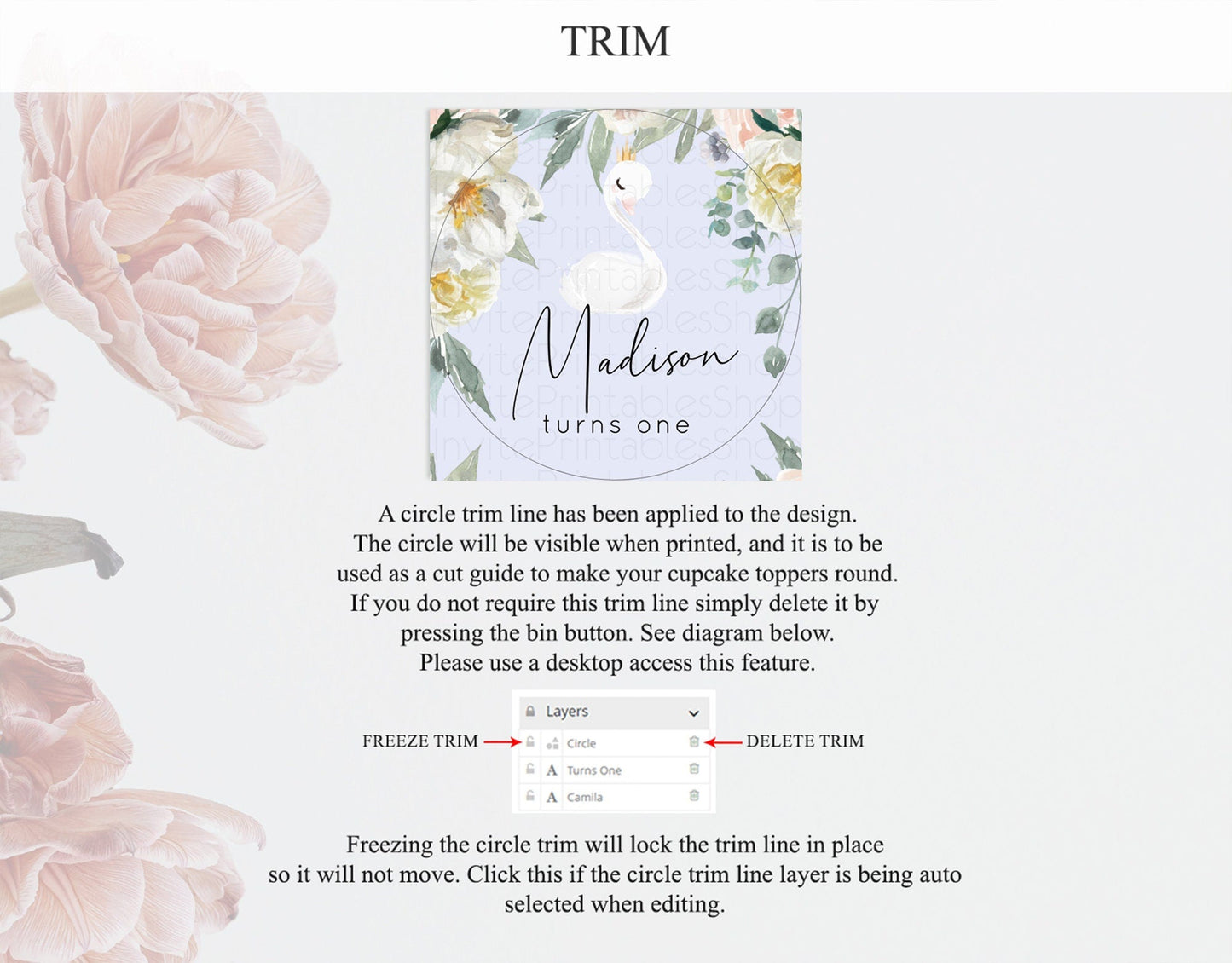 Swan Cupcake Toppers Swan Princess Ballet Cupcake Watercolour Pastel Floral Enchanted Forest Swan Lake Party Decor Secret Garden D10756