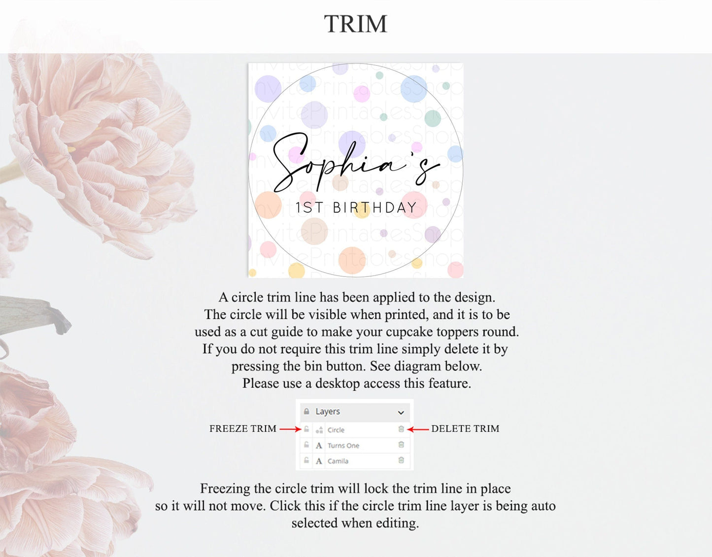 Pastel Cupcake Toppers Pastel Confetti Cupcake Topper Bubbles Sprinkles Colorful Rainbow Confetti Cupcake First Birthday Party Decor D10135