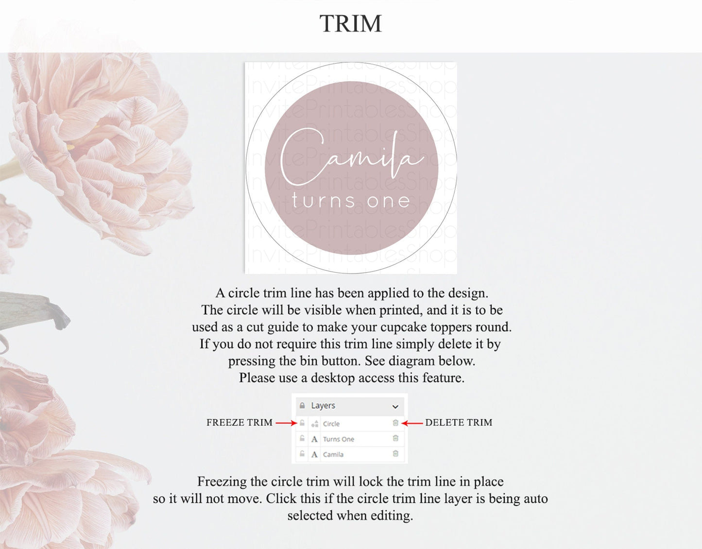 Pink Cupcake Toppers Plain Pink Cupcake Minimalist Pink Cupcake Pastel Pink Table Number Cupcake Topper Blue Decor D10936