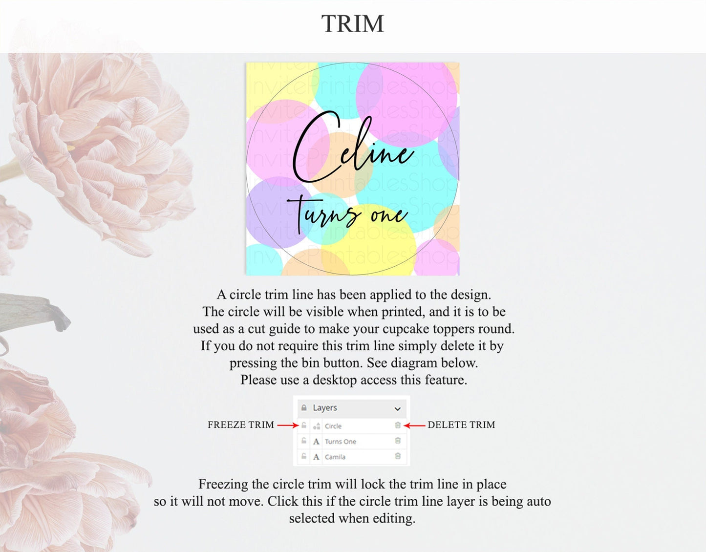 Pastel Cupcake Toppers Pastel Confetti Cupcake Topper Bubbles Sprinkles Colorful Rainbow Confetti Cupcake First Birthday Party Decor D10407