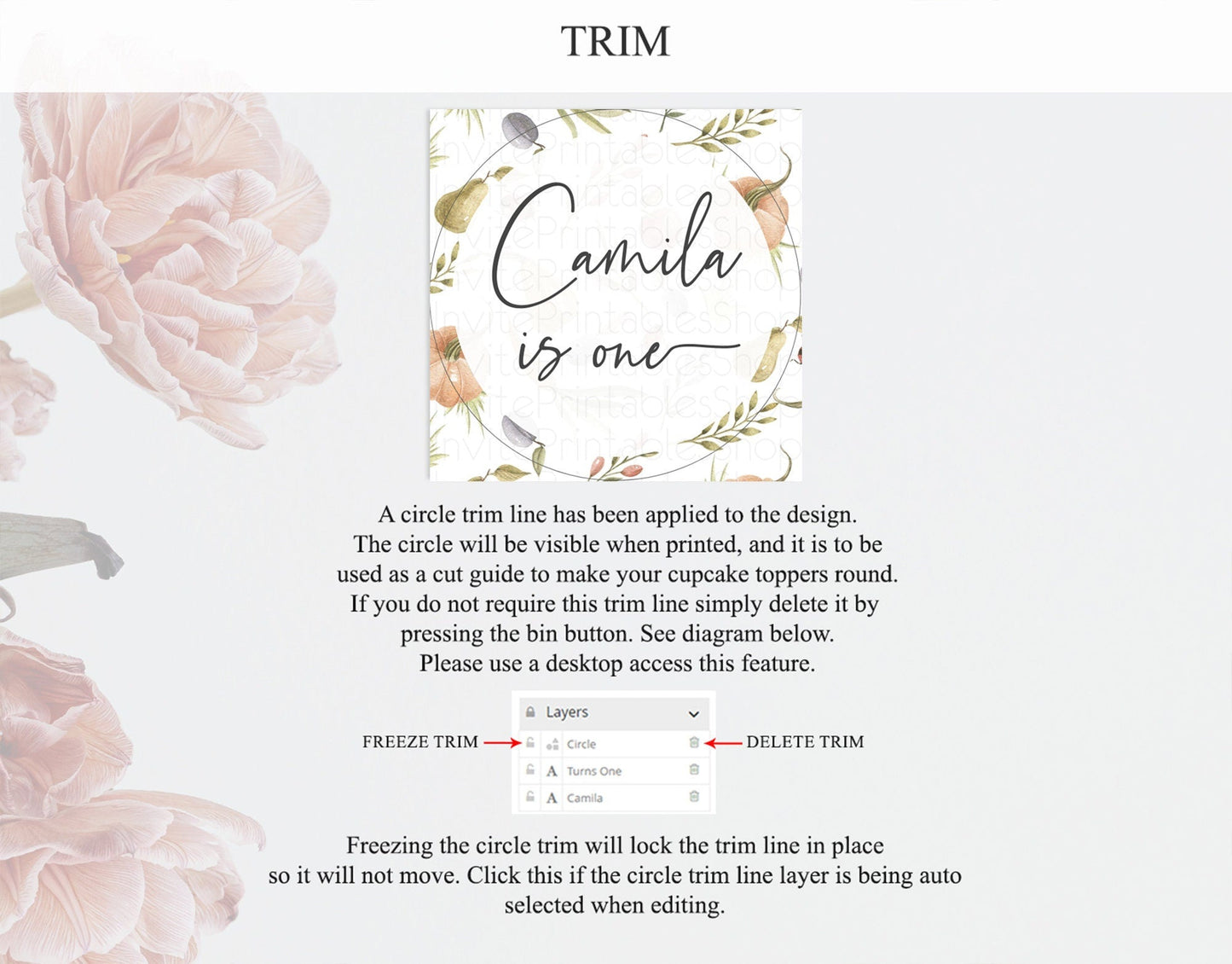 Pumpkin Cupcake Pear Pumpkin Plum Cupcake Toppers Watercolor Ladybug Plum Pear Pumpkin Vegetable Country Garden Decor D10543