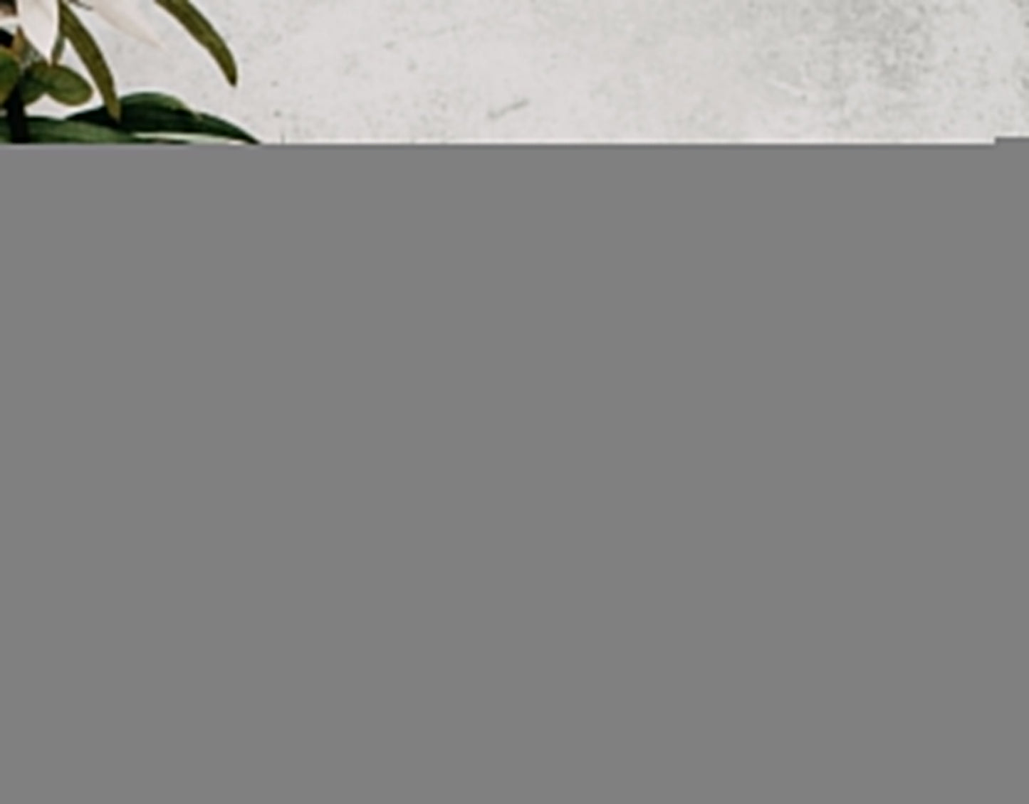 Wildflower Water Label Template Secret Garden Water Label Pastel Floral Garden Party Decor Boho Flowers Birthday Baby Shower Wedding D10538