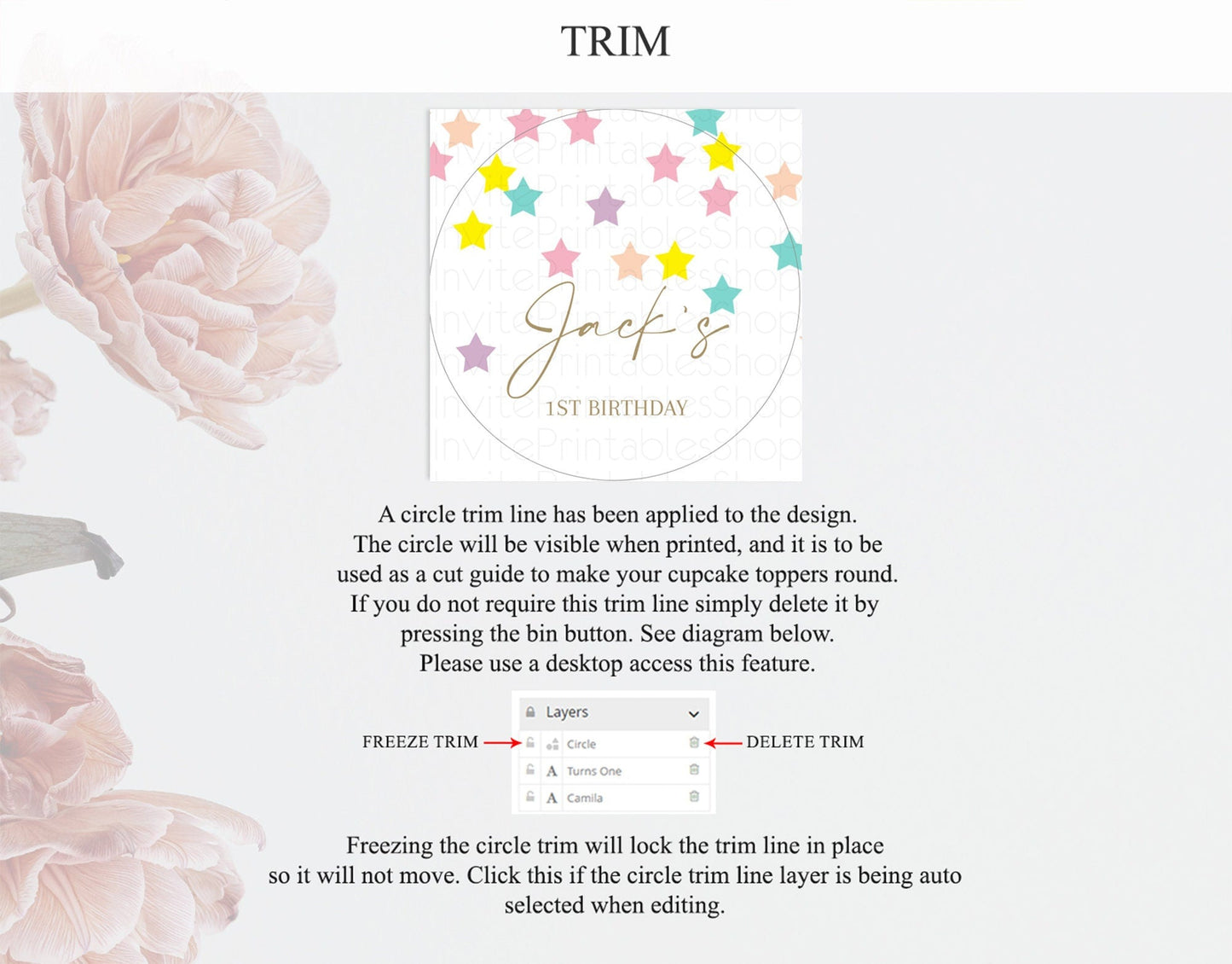 Star Cupcake Toppers Pastel Stars Cupcake Toppers Shooting Star Sprinkle Stars Rainbow Colorful Confetti Twinkle Little Star Decor D10601