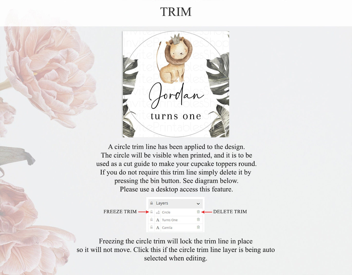 Lion Cupcake Toppers Safari Lion Cupcake Toppers Modern Lion Party Decor Safari Adventure Party Minimalist Lion First Birthday Decor D10599