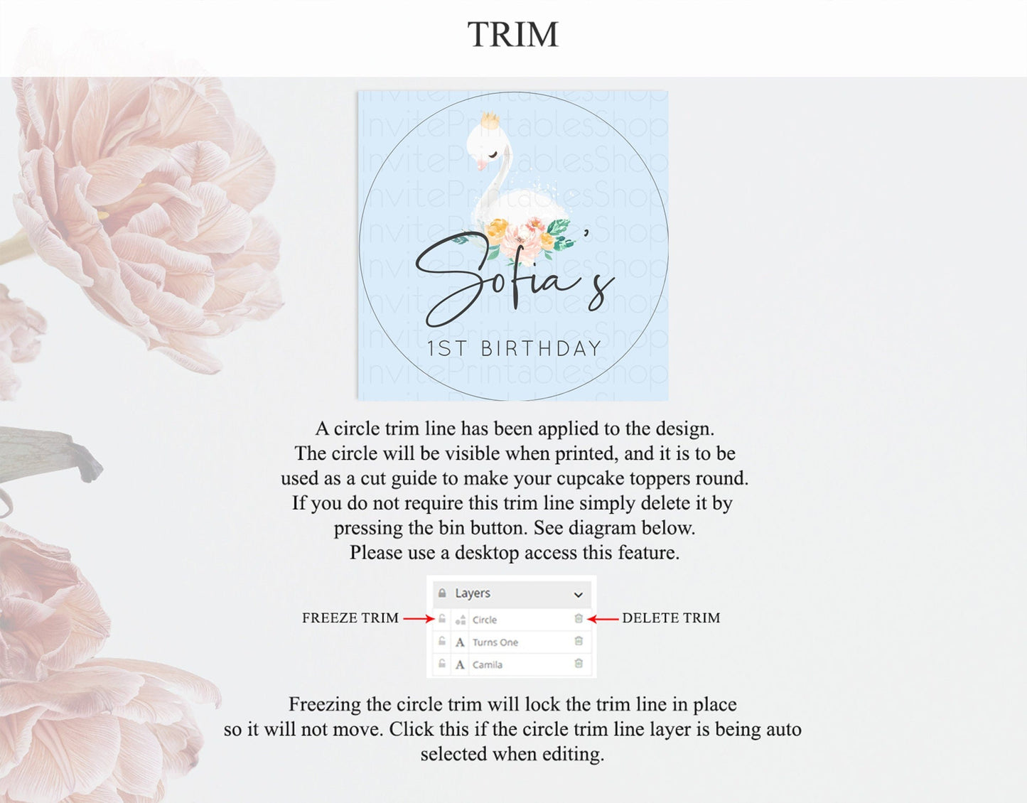 Swan Cupcake Toppers Swan Princess Ballet Cupcake Watercolour Pastel Floral Enchanted Forest Swan Lake Party Decor Secret Garden D10903