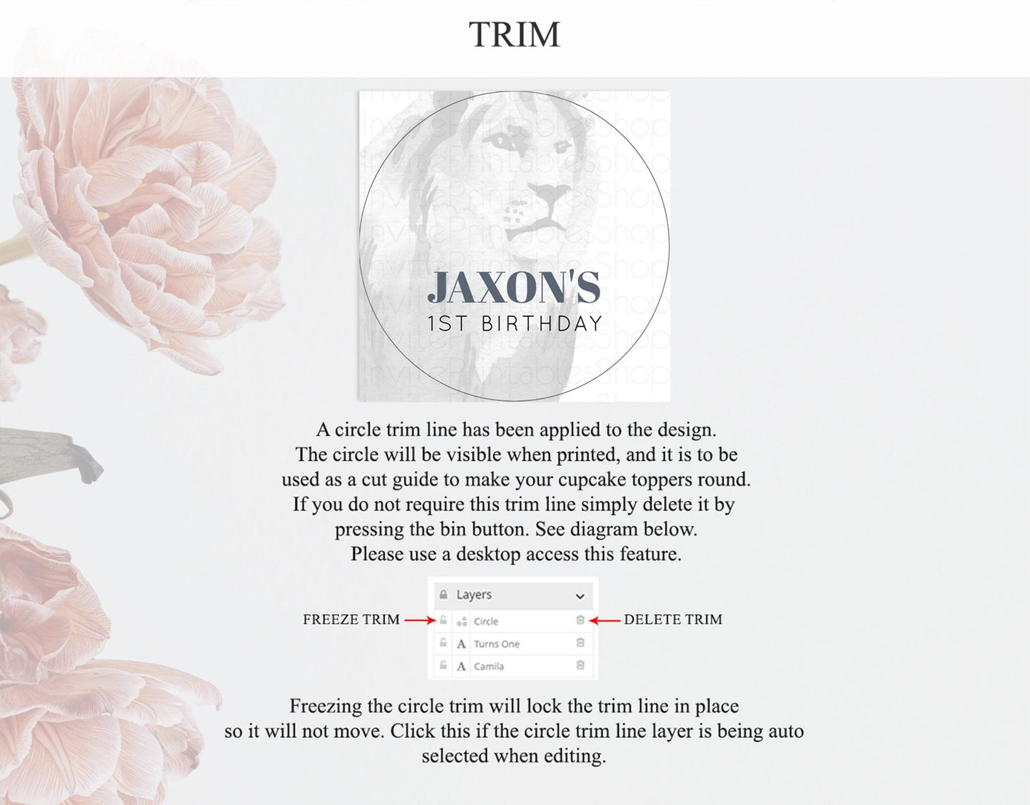 Lion Cupcake Toppers Safari Lion Cupcake Toppers Modern Lion Party Decor Safari Adventure Party Minimalist Lion First Birthday Decor D10299