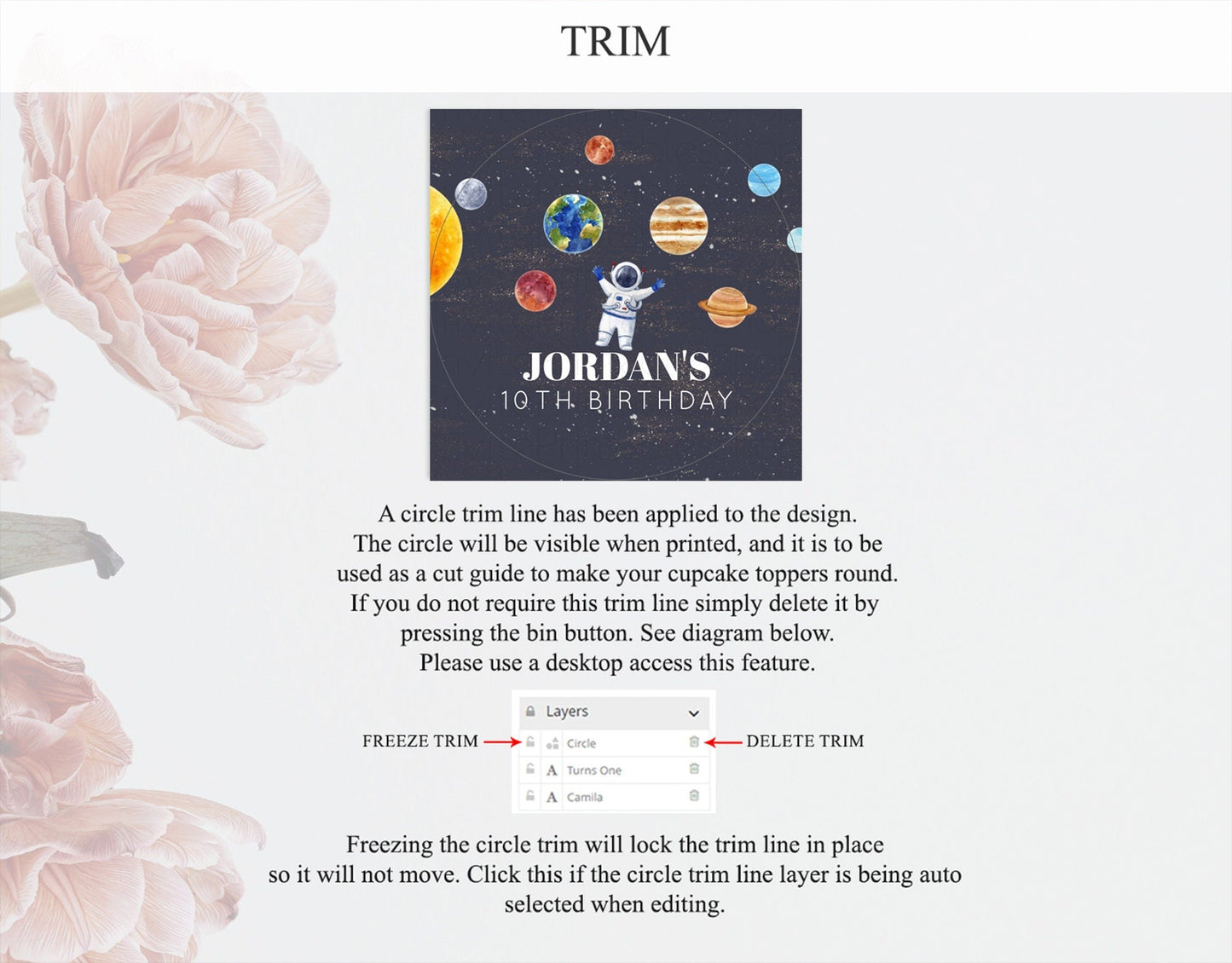 Space Cupcake Toppers Space Decor First Trip Around the Sun Decor Decor Sky Stars Planets Milkyway Solar System Cupcake Topper D10144