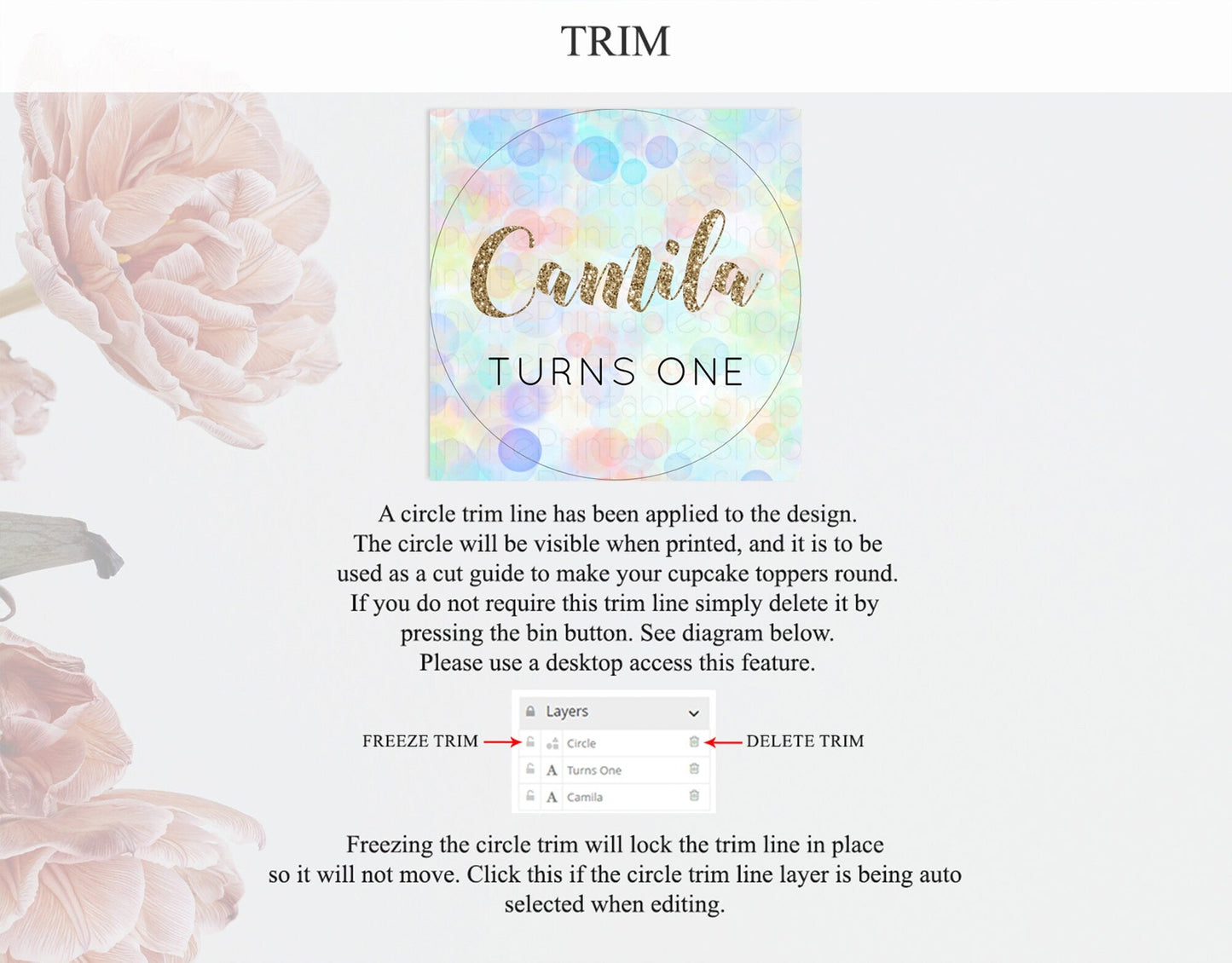 Pastel Cupcake Toppers Pastel Confetti Cupcake Topper Bubbles Sprinkles Colorful Rainbow Confetti Cupcake First Birthday Party Decor D10447