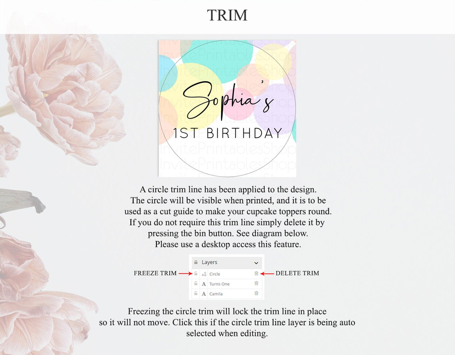 Pastel Cupcake Toppers Pastel Confetti Cupcake Topper Bubbles Sprinkles Colorful Rainbow Confetti Cupcake First Birthday Party Decor D10223