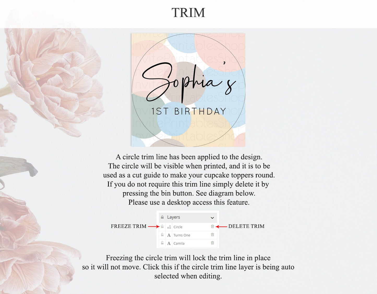 Pastel Cupcake Toppers Pastel Confetti Cupcake Topper Bubbles Sprinkles Colorful Rainbow Confetti Cupcake First Birthday Party Decor D10602