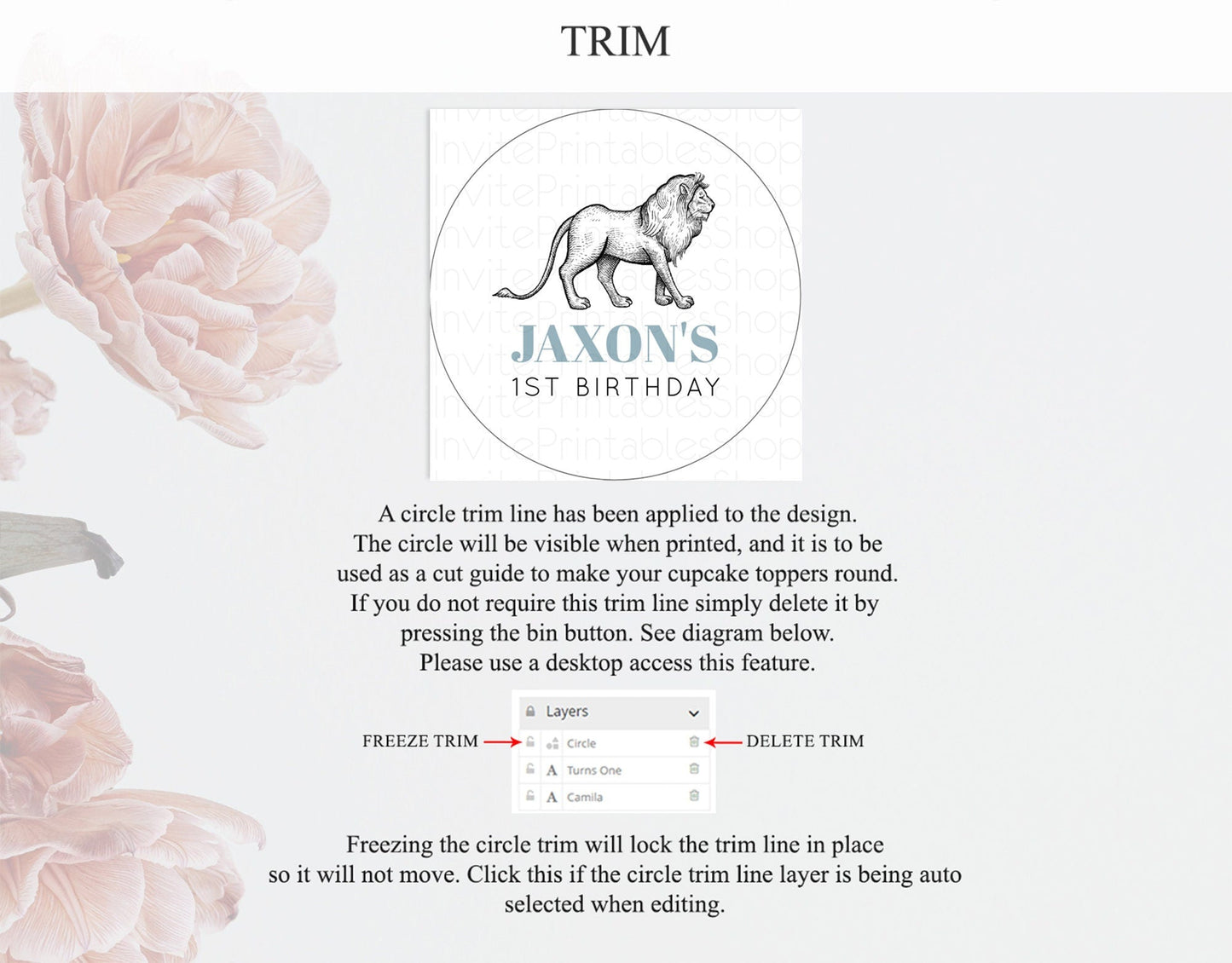 Lion Cupcake Toppers Safari Lion Cupcake Toppers Modern Lion Party Decor Safari Adventure Party Minimalist Lion First Birthday Decor D10246