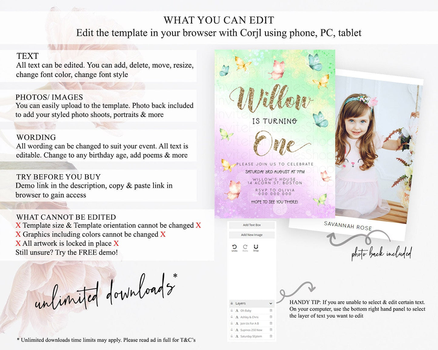 Pastel Butterfly Birthday Invitation Butterfly Birthday Invitation Colorful Splash Glitter Butterfly Garden 1st 2nd Birthday D23085