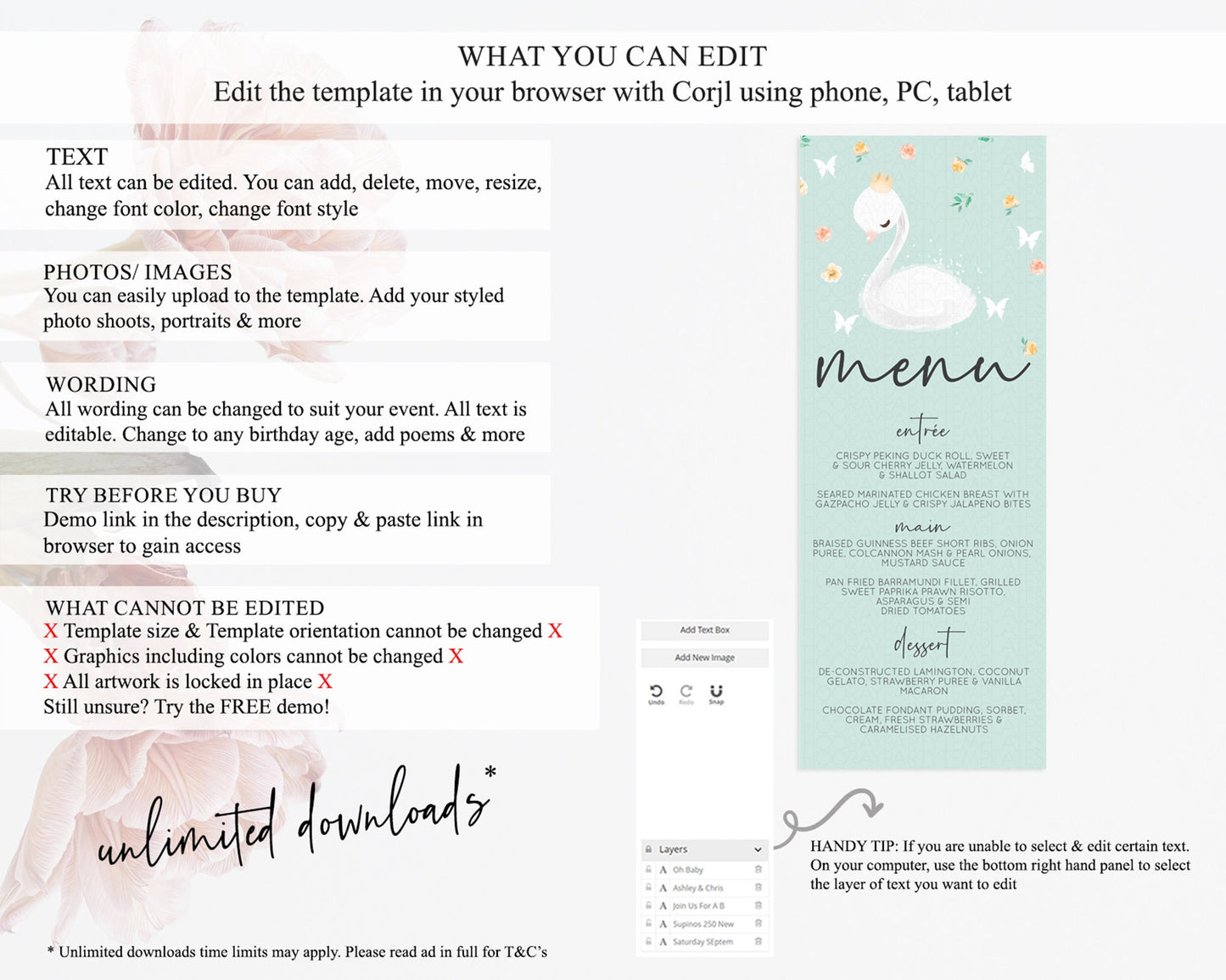 Swan Menu Swan Princess Ballet Menu Template Enchanted Swan Lake Table Decor Secret Garden Pastel Floral Dinner Dessert Food Menu  D10905