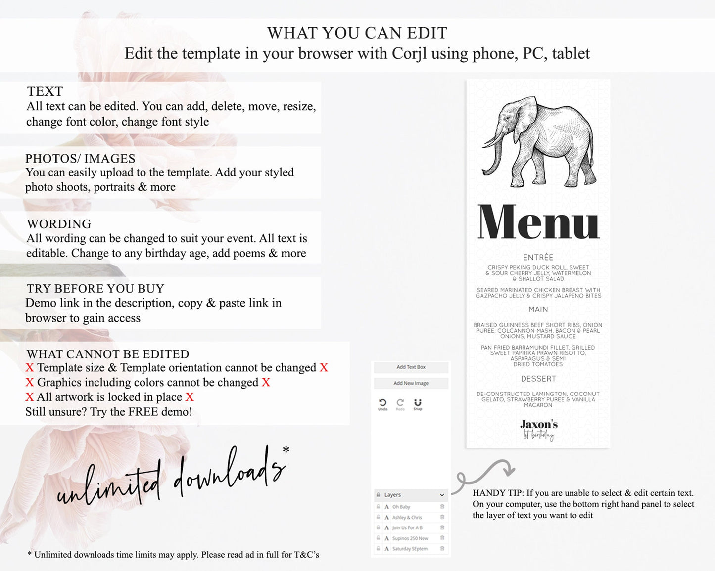 Elephant Menu Elephant Menu Template Elephant Safari Zoo Table Decor Elephant Dinner Dessert Menu Elephant Party Food Menu D10248