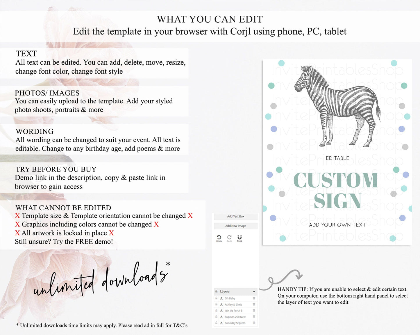 Zebra Sign Zebra Table Sign Decor Zebra Party Sign Template Safari Adventure Zebra Minimal Theme 1st Birthday Baptism Baby Shower D10856