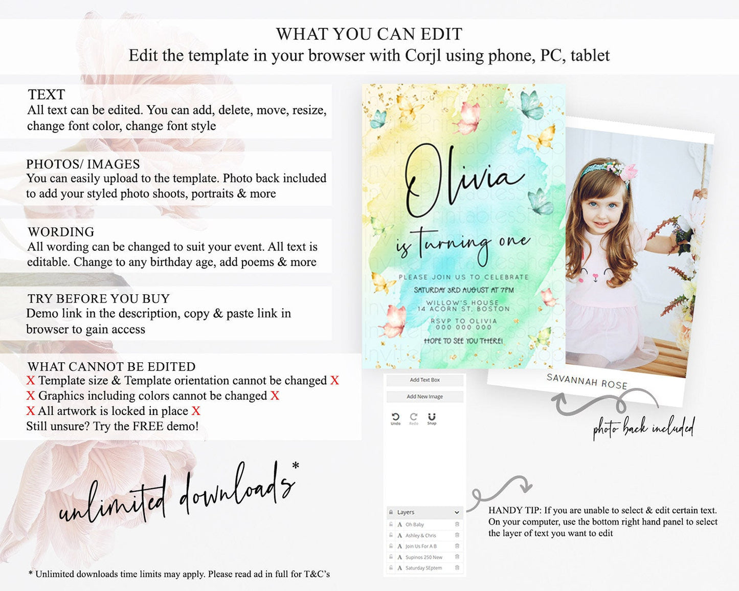 Pastel Butterfly Birthday Invitation Butterfly Birthday Invitation Whimsical Butterfly Enchanted Garden 1st 2nd Birthday Invitation D23195