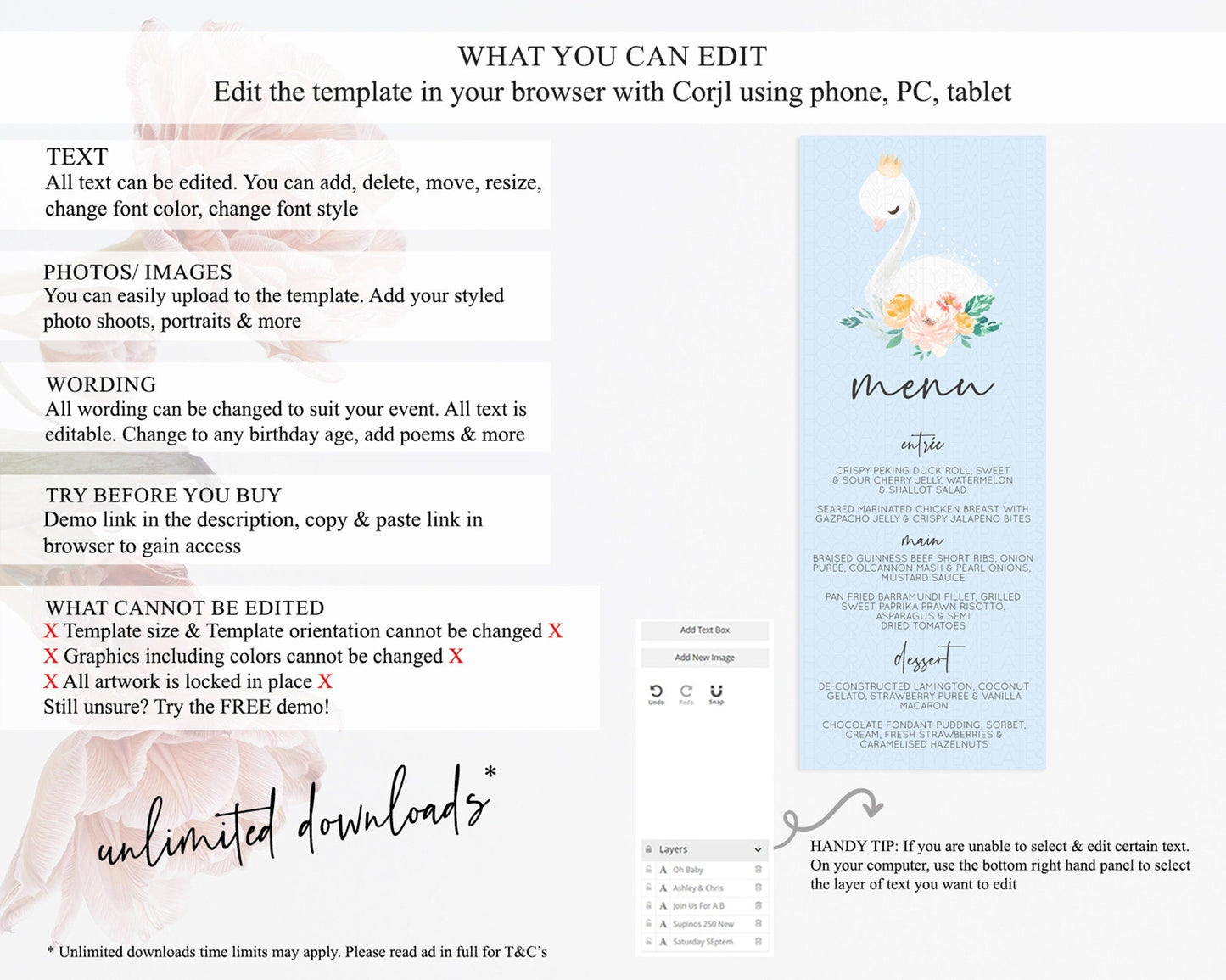 Swan Menu Swan Princess Ballet Menu Template Enchanted Swan Lake Table Decor Secret Garden Pastel Floral Dinner Dessert Food Menu D10903