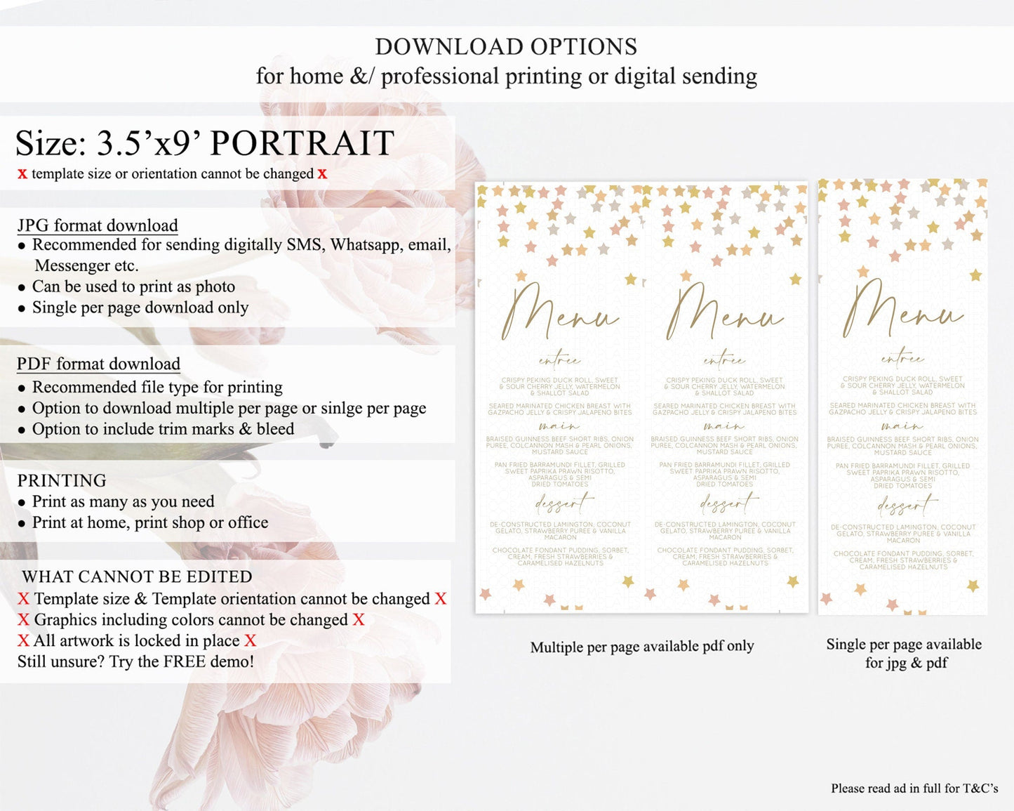 Star Menu Template Pastel Stars Menu Shooting Star Twinkle Little Star Decor Rainbow Colorful Confetti Dinner Dessert Food Menu D10342