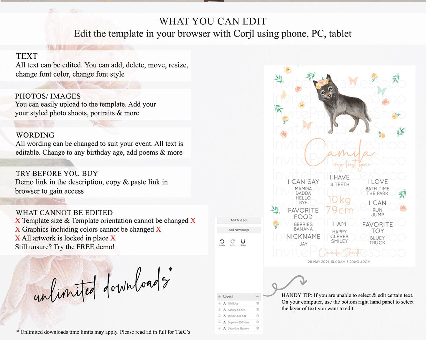 Wolf First Birthday Milestone Poster Wolf Milestone Board Pastel Floral Wolf Milestone First Birthday Welcome Sign D10362