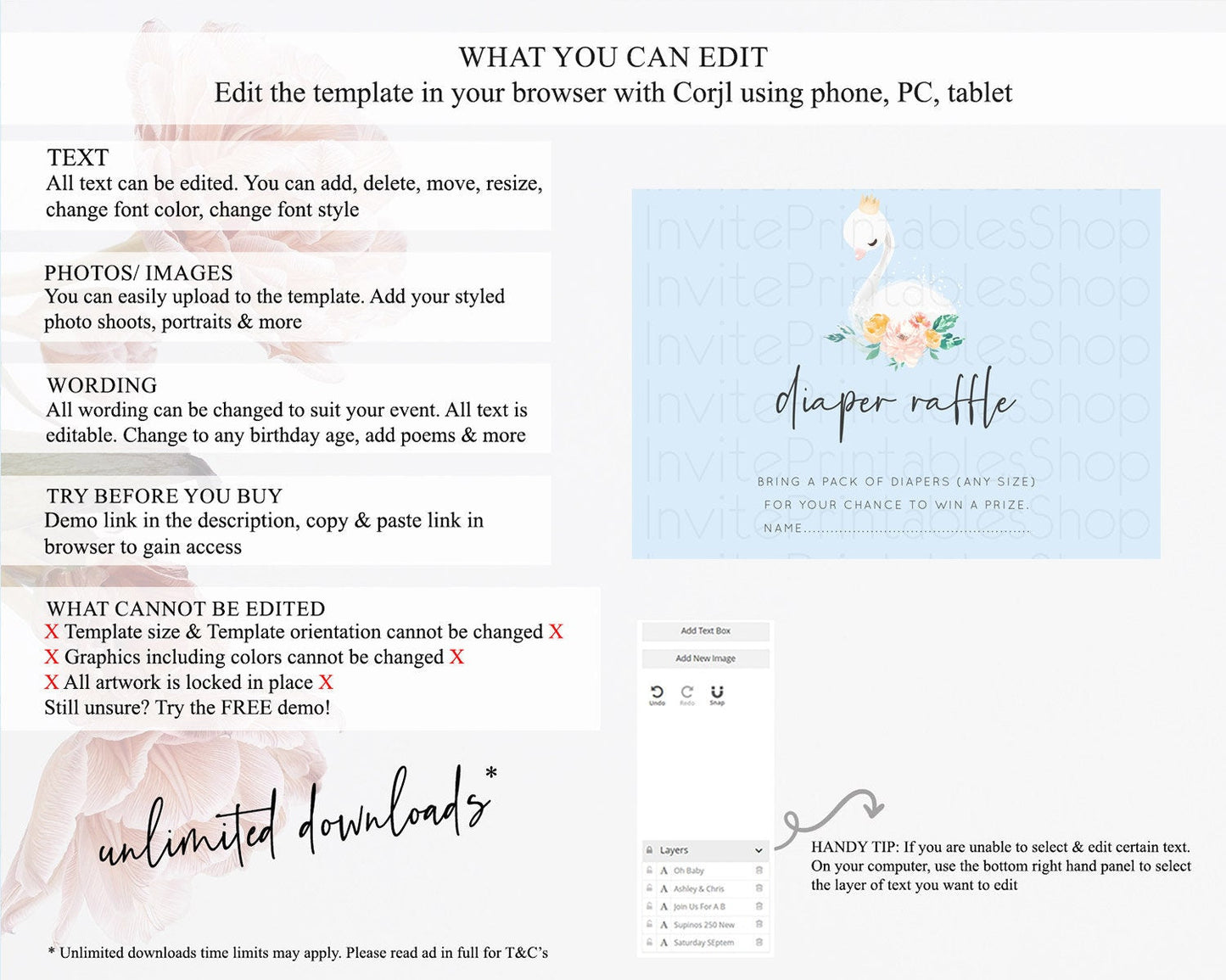 Swan Diaper Raffle Card Swan Princess Ballet Diaper Raffle Insert Enchanted Swan Lake Diaper Ticket Secret Garden Floral Raffle Game D10903
