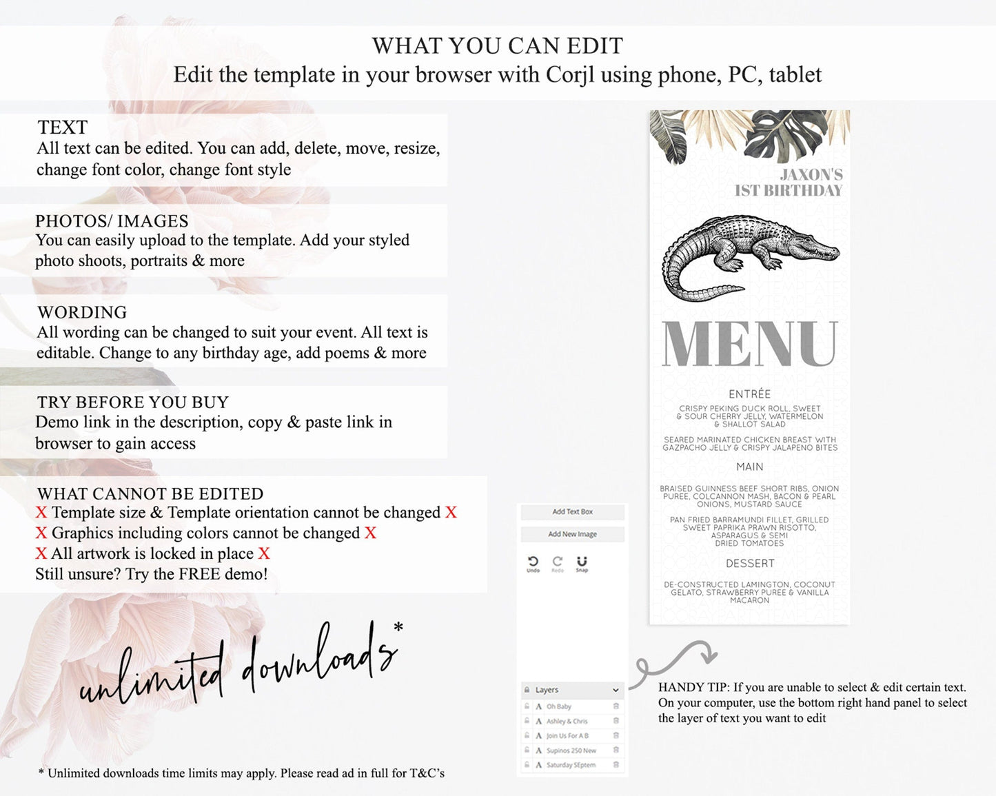 Crocodile Menu Alligator Menu Template Croc Gator Table Decor Croc Gator Dinner Dessert Menu Croc Gator Birthday Party Food Menu D10830