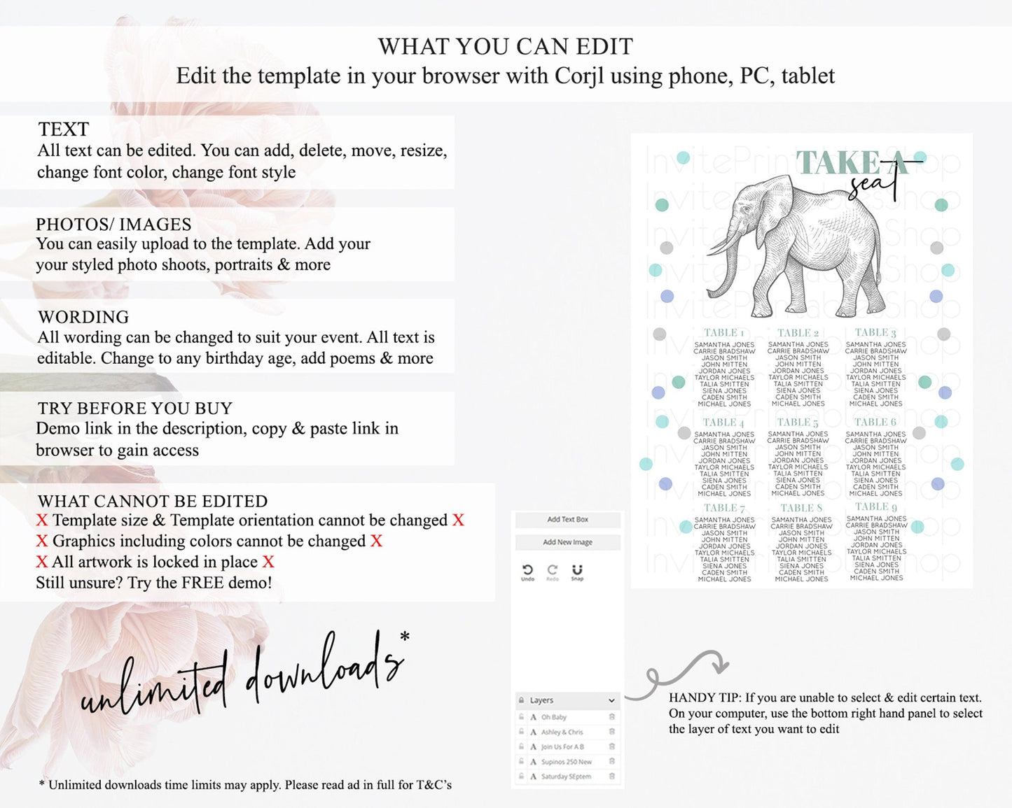 Elephant Seating Chart Elephant Seating Sign Elephant Party Safari Adventure Elephant Take A Seat Elephant Decor Zoo Fern Palm Leaf D10859