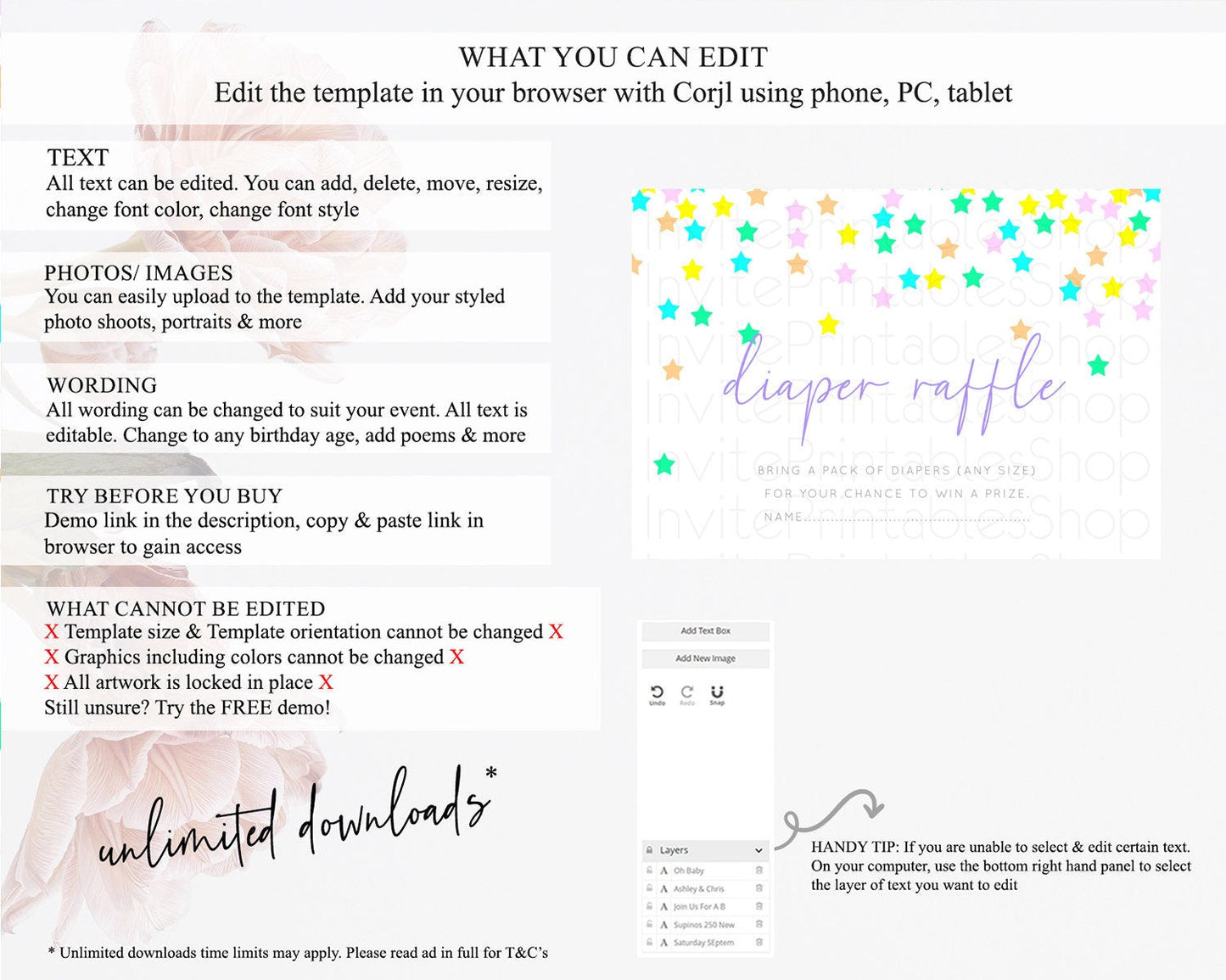 Pastel Star Diaper Raffle Card Shooting Star Diaper Raffle Insert Twinkle Little Star Diaper Ticket Rainbow Confetti Raffle Game D10394