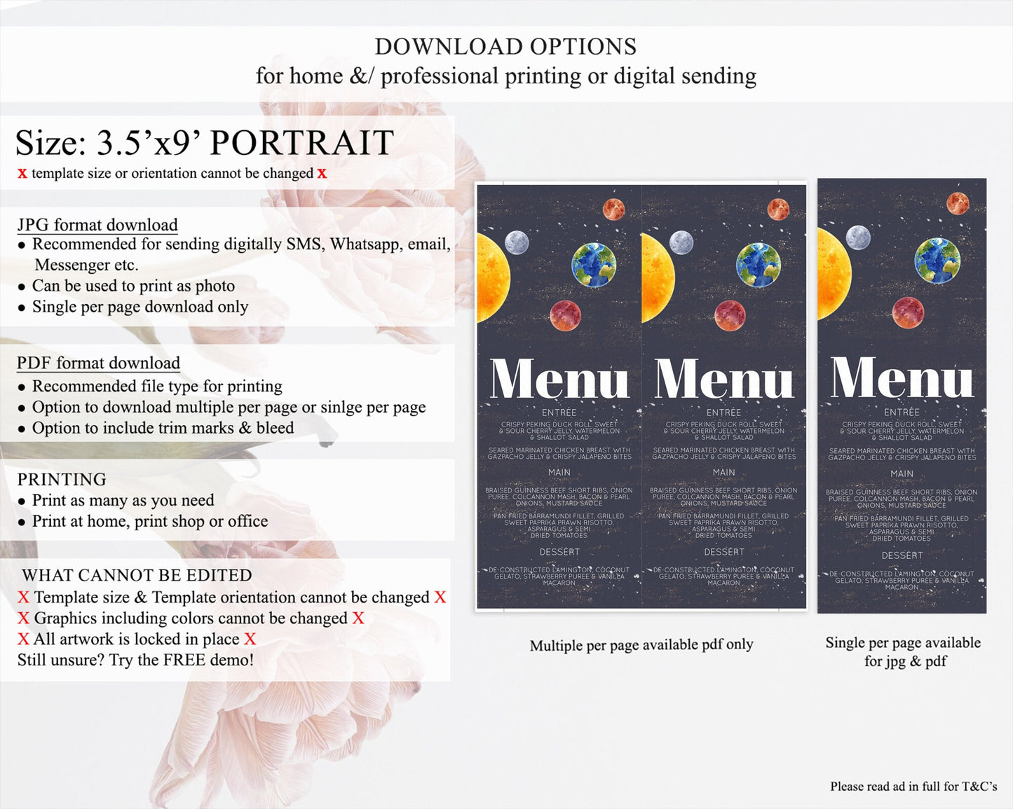 Space Menu Space Menu Template First Trip Around the Sun Table Decor Planets Solar System ONE year Food Menu Dinner Dessert Menu D10144