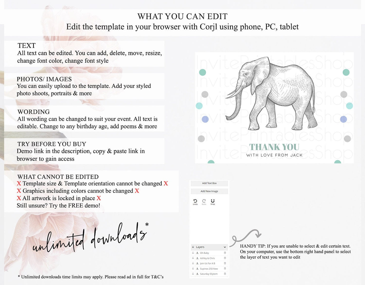 Pastel Elephant Thank You Rainbow Elephant Thank You Card Colorful Rainbow Birthday Thank You Pastel Teacher Thank You Card Template D10859