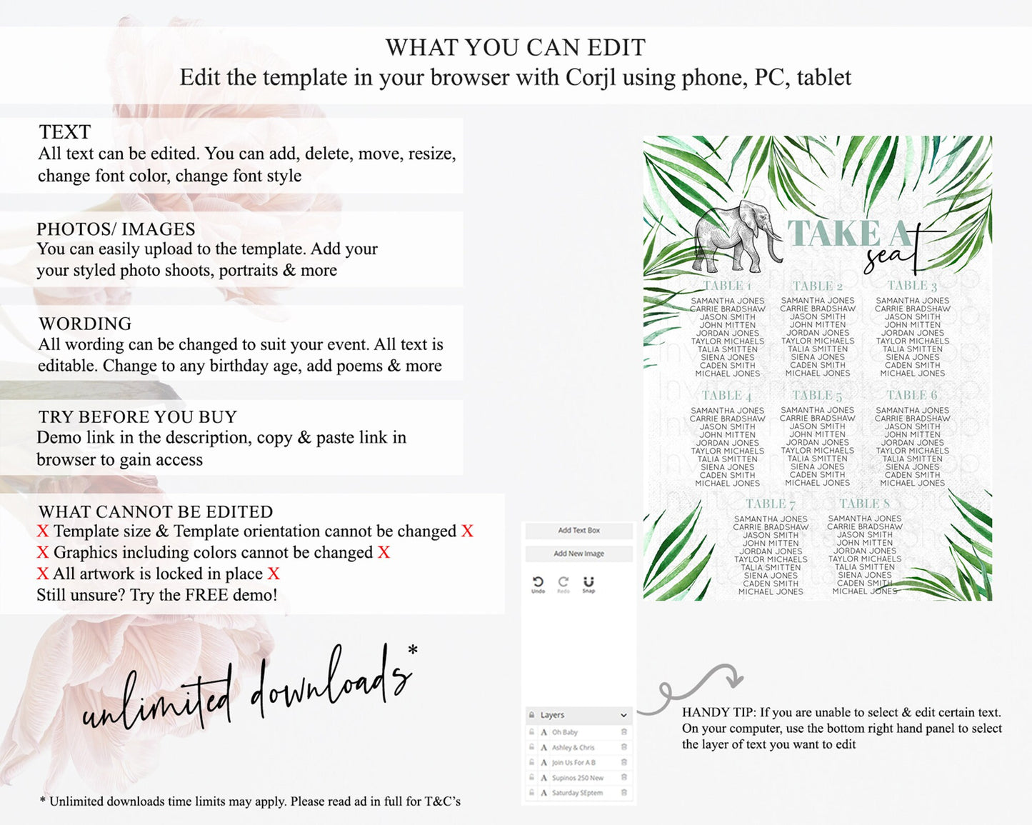 Elephant Seating Chart Elephant Seating Sign Elephant Party Safari Adventure Elephant Take A Seat Elephant Décor Zoo Fern Palm Leaf D10850