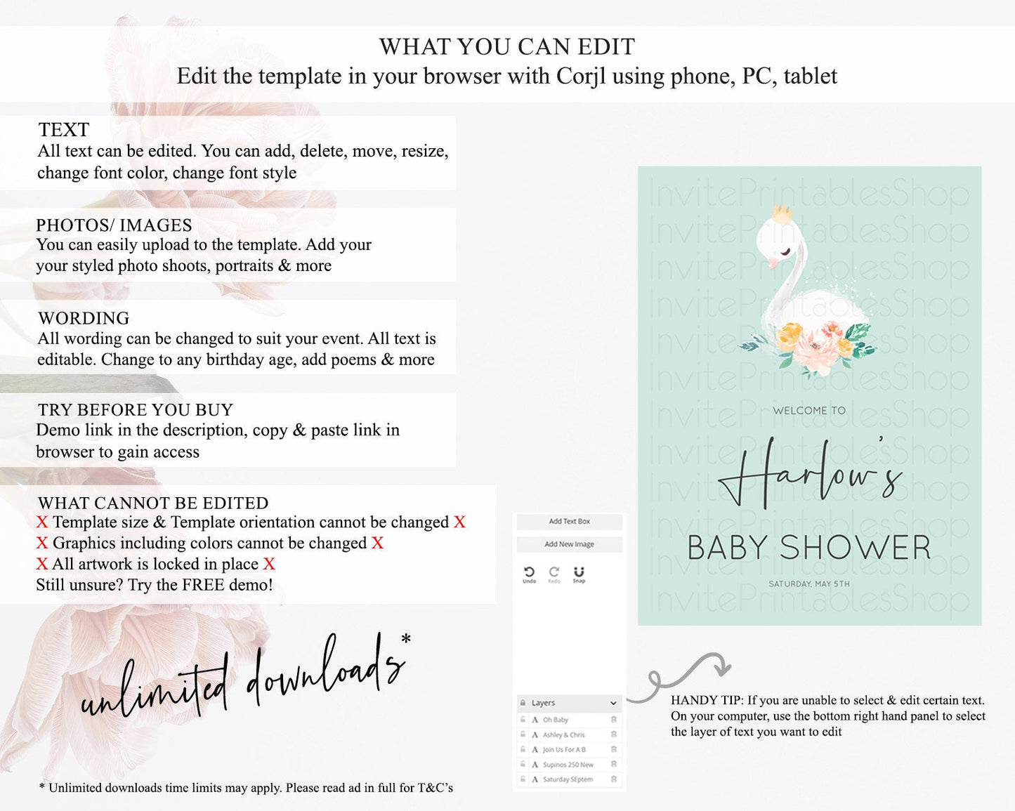 Swan Baby Shower Welcome Board Swan Princess Ballet Welcome Sign Enchanted Swan Lake Secret Garden Pastel Floral Swan Welcome Sign D10905