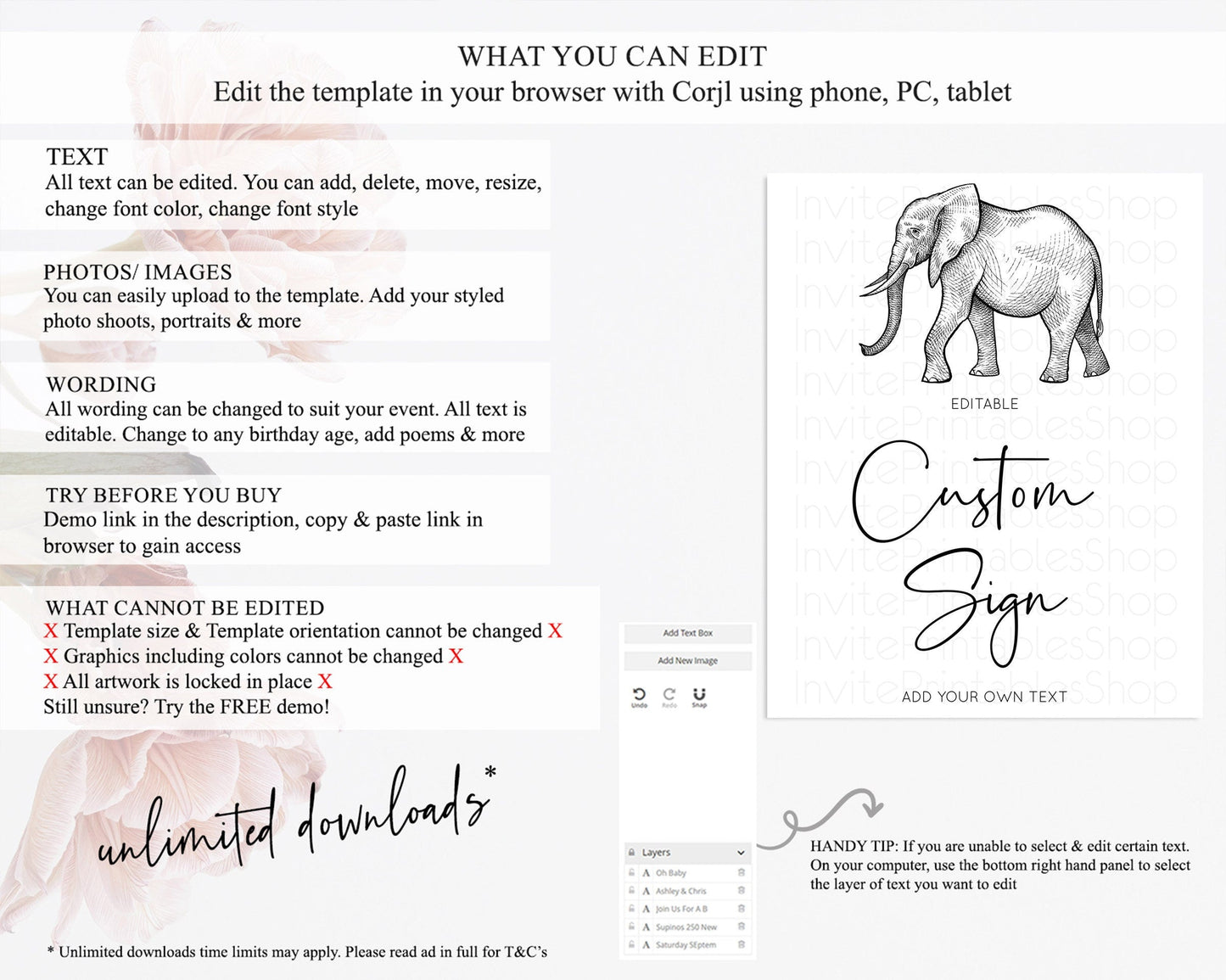 Elephant Sign Elephant Safari Adventure Party Table Sign Decor Dried Palm Fern Zoo 1st Birthday Baptism Baby Shower Bridal Shower D10248