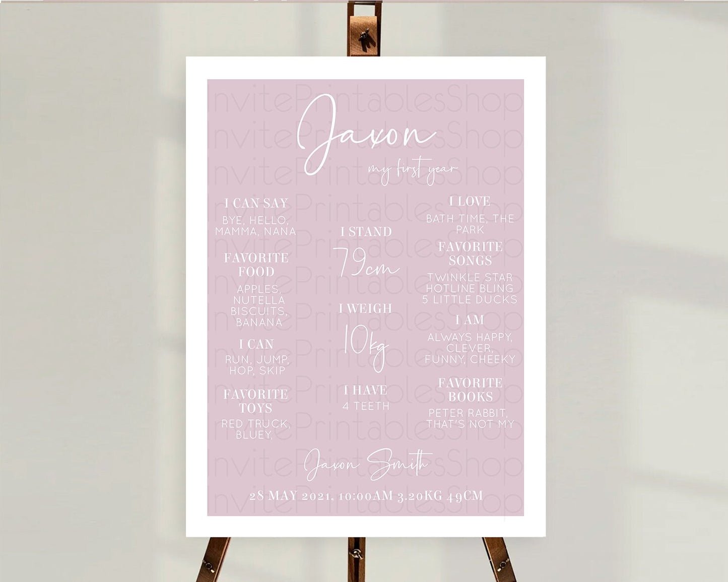 Pink First Birthday Milestone Poster Plain Pink Milestone Board Minimalist Pastel Pink Milestone Modern 1st Birthday Welcome Sign D10940