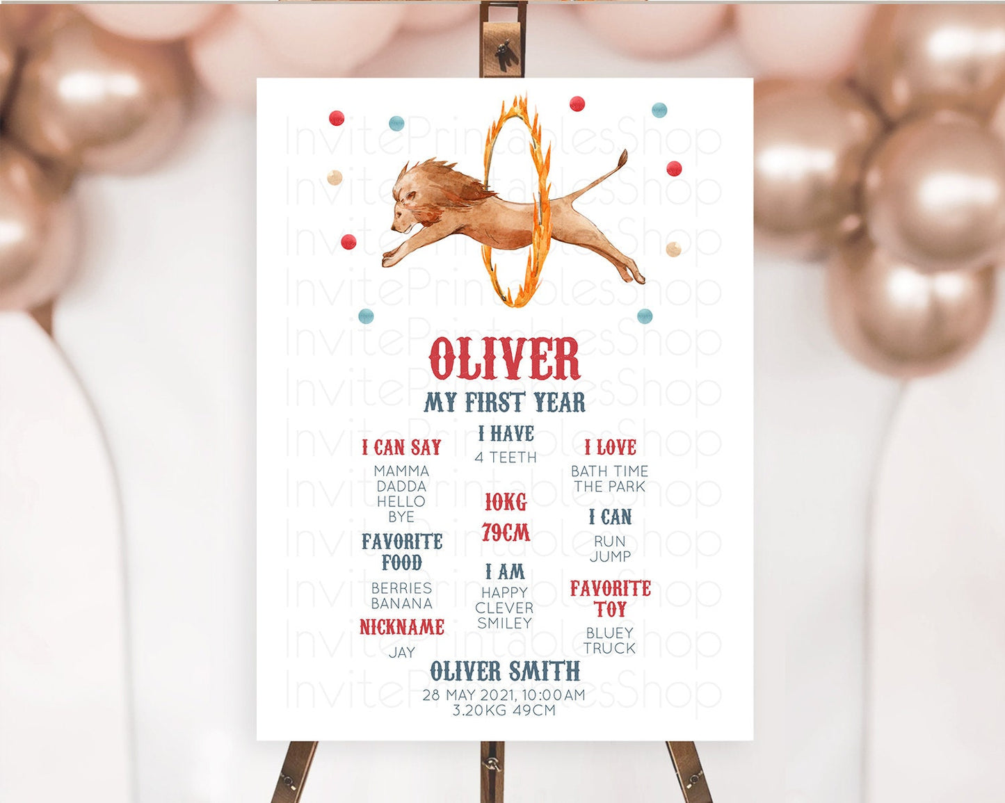 Circus First Birthday Milestone Board Carnival First Birthday Milestone Poster Step Right Up Circus Tent First Birthday Welcome Sign D10523