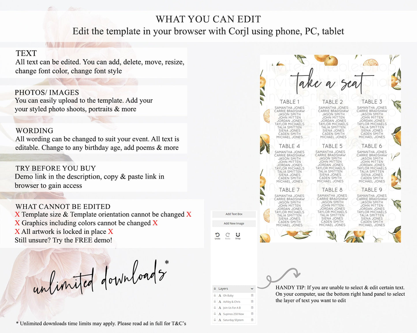 Citrus Seating Chart Lemon Seating Chart Orange Seating Chart Citrus Garden Seating Sign Citrus Floral Table Number Sign D10545